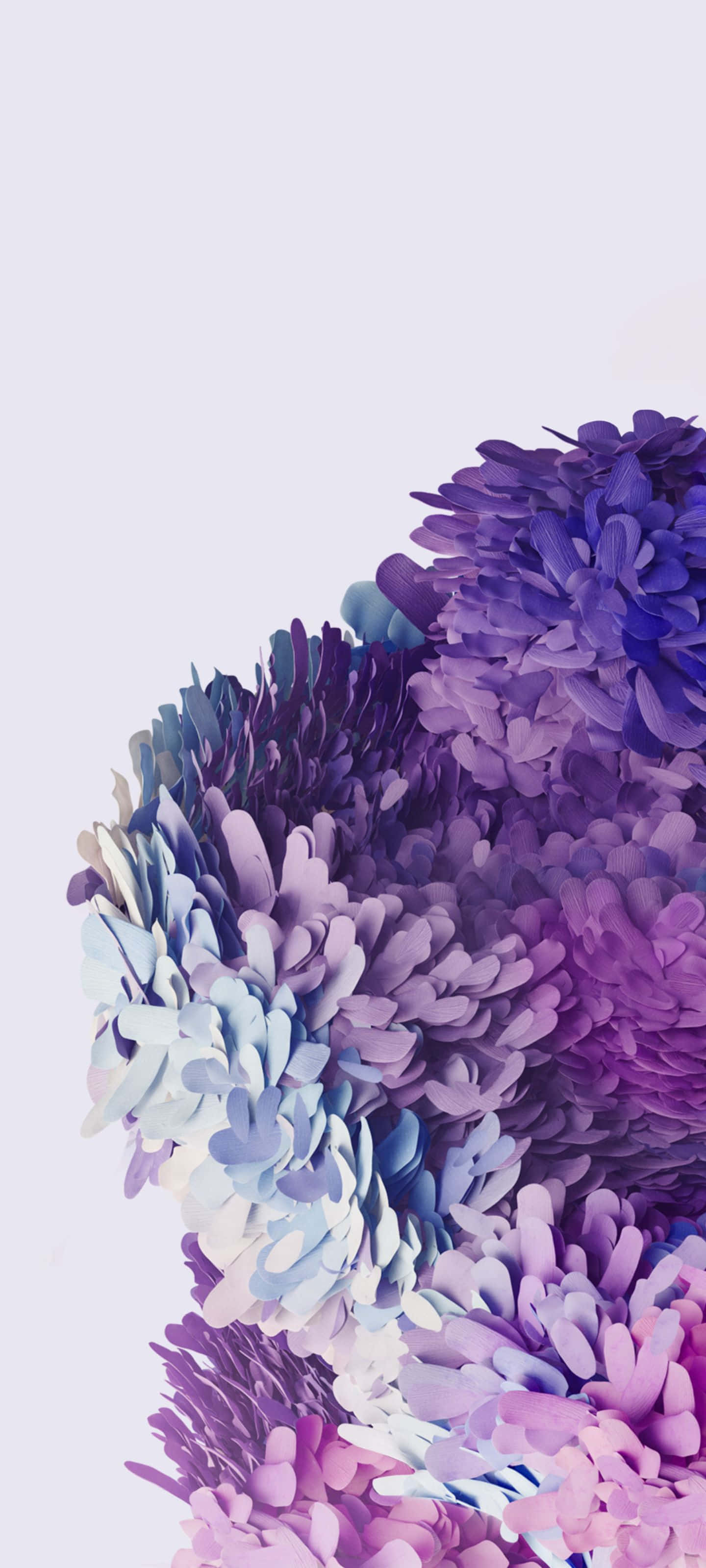 Samsung S20, purple hydrangea, blue hydrangea, 2K Phone Wallpaper