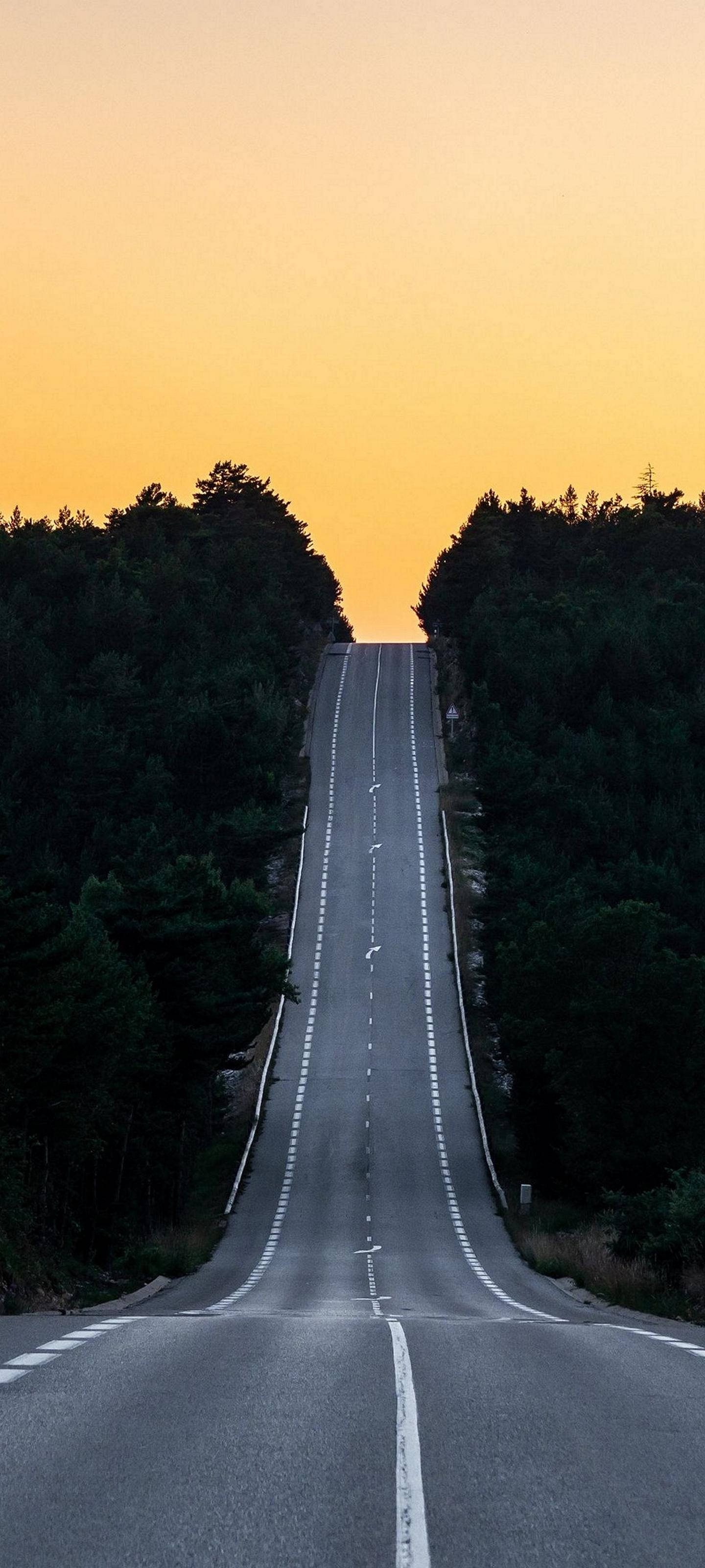 Samsung S21 Ultra, uphill road, dense forest, 2K Phone Wallpaper