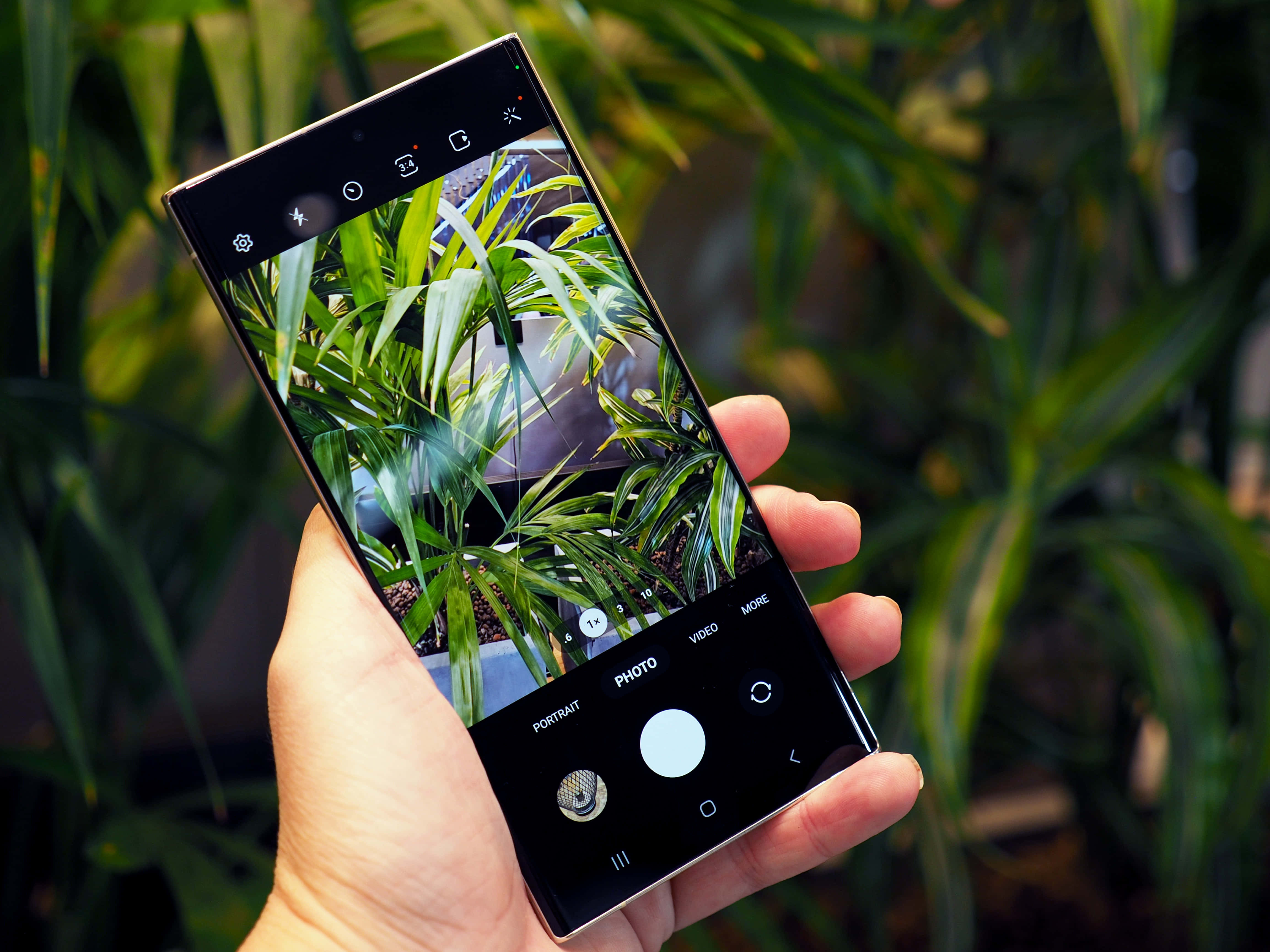Samsung S23 Ultra, camera interface, vibrant green plant, 4K Desktop Wallpaper