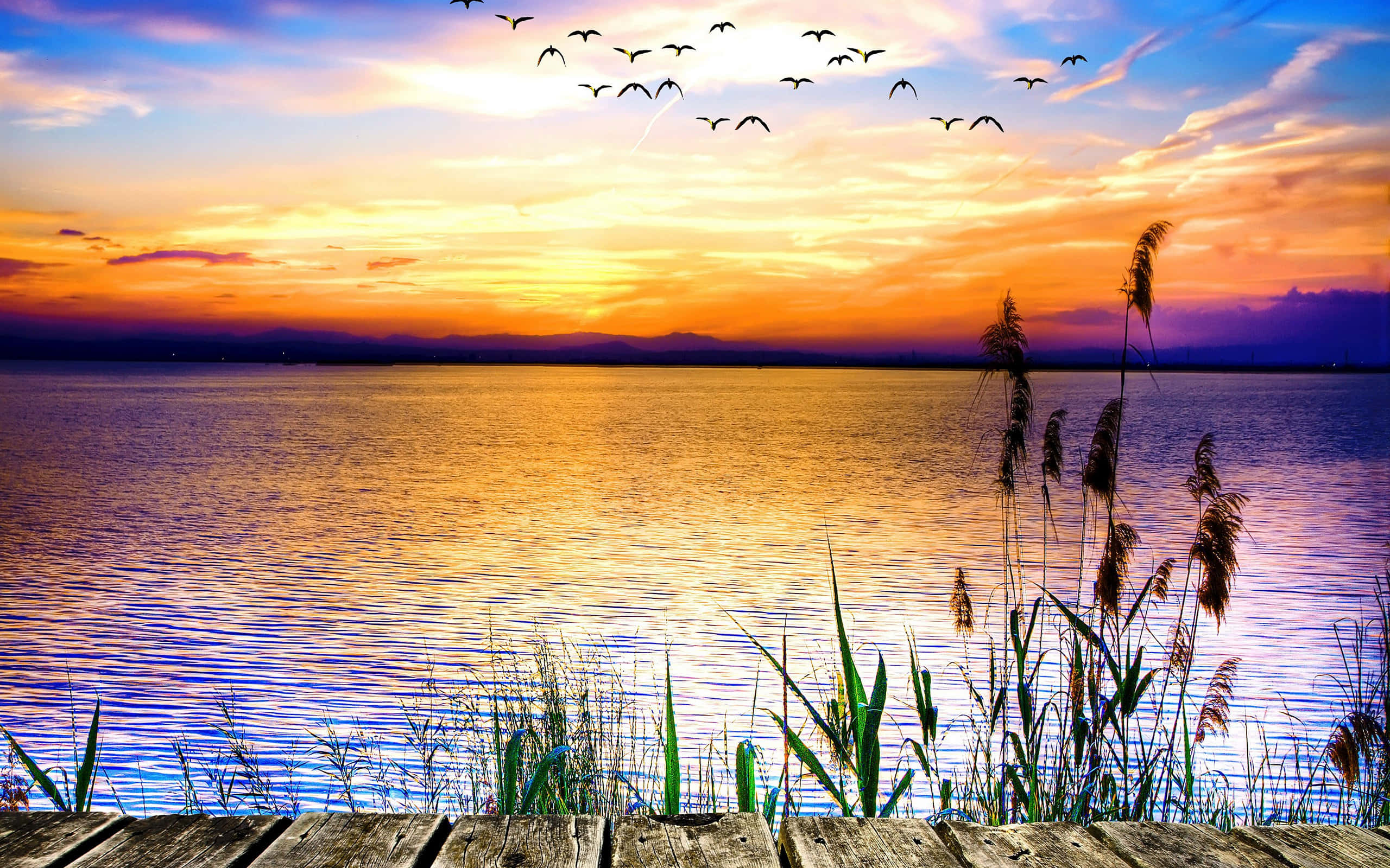 Samsung Tablet, 2560 x 1600, sunset, 2K Desktop Wallpaper