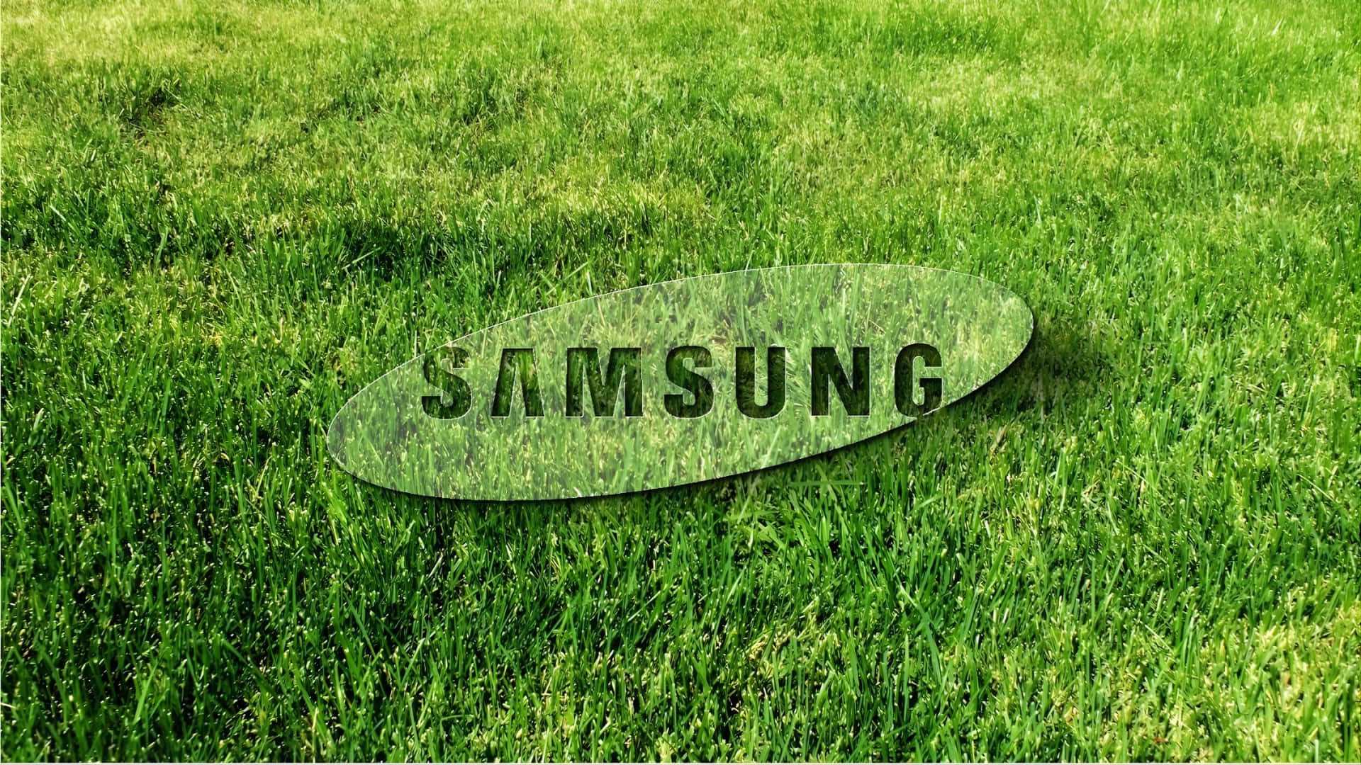 Samsung TV Logo, vibrant green grass, bright sunlight, Full HD Desktop Wallpaper