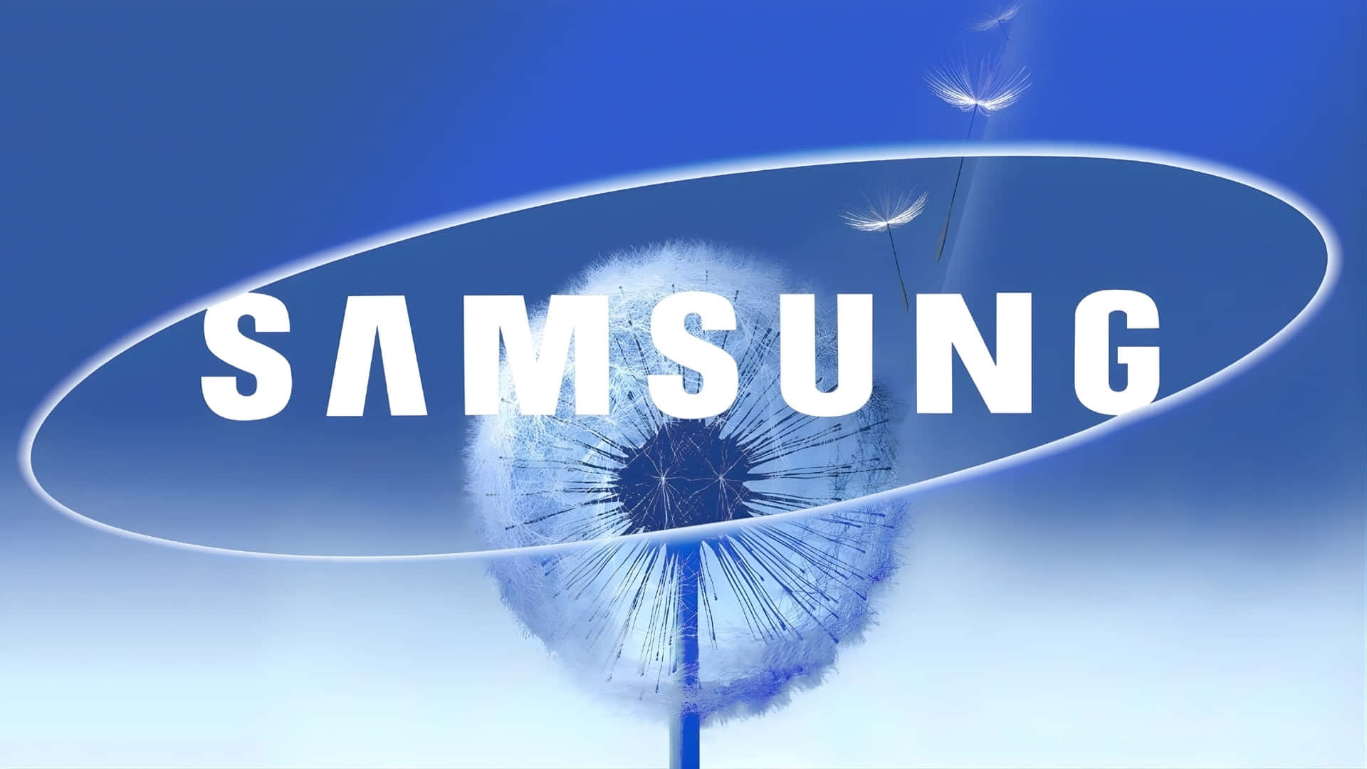 Samsung TV Logo, white bold letters, dandelion seed head, Full HD Desktop Wallpaper