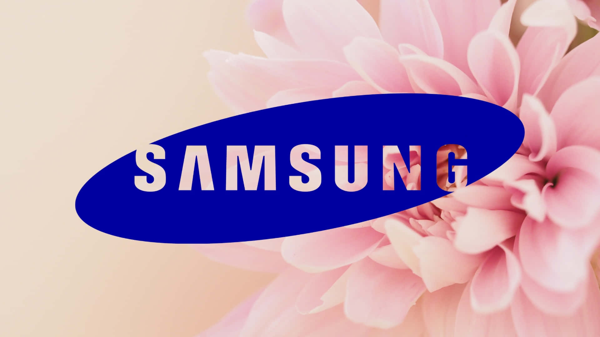 Samsung TV Logo, blue oval, white text, Full HD Desktop Wallpaper