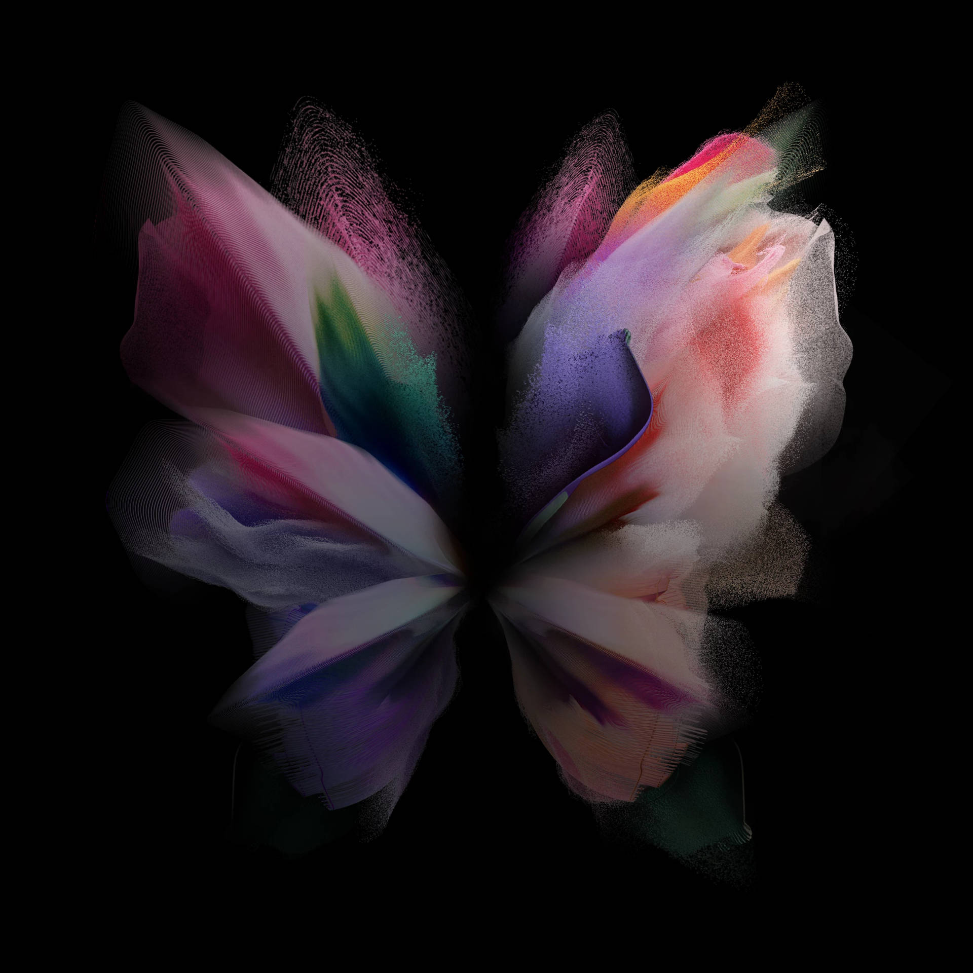 butterfly, iridescent wings, pink purple teal orange, Full HD Desktop Wallpaper