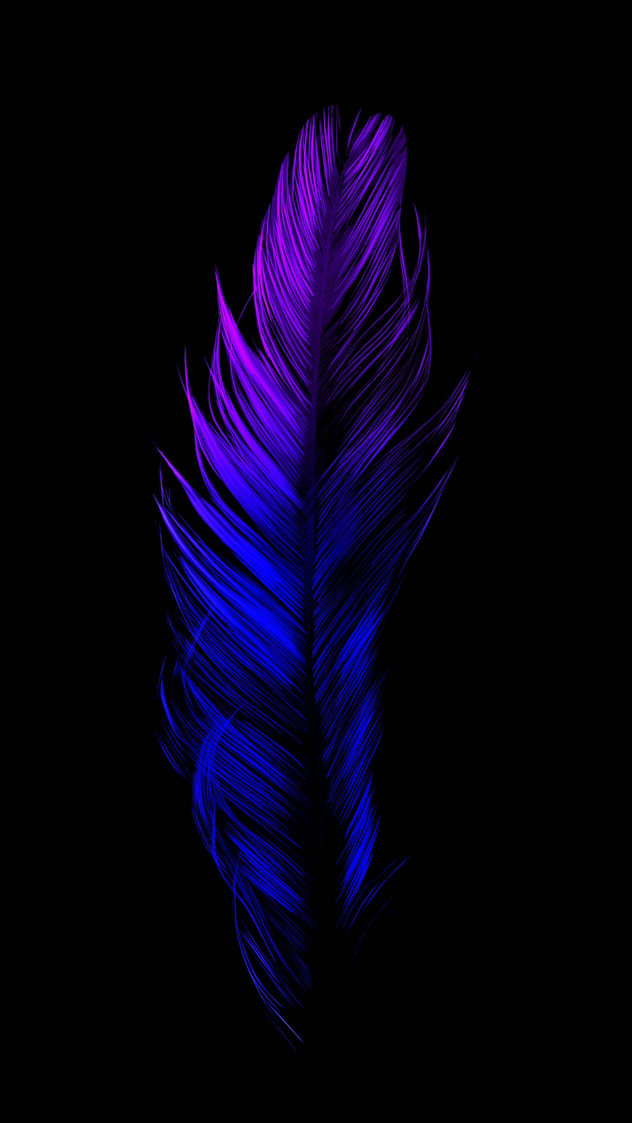 gradient blue purple feather, Samsung, Full HD, 2K Phone Wallpaper