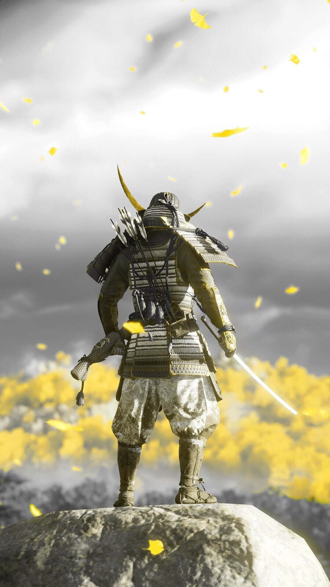 samurai warrior, full armor, rocky outcrop, Full HD Phone Wallpaper