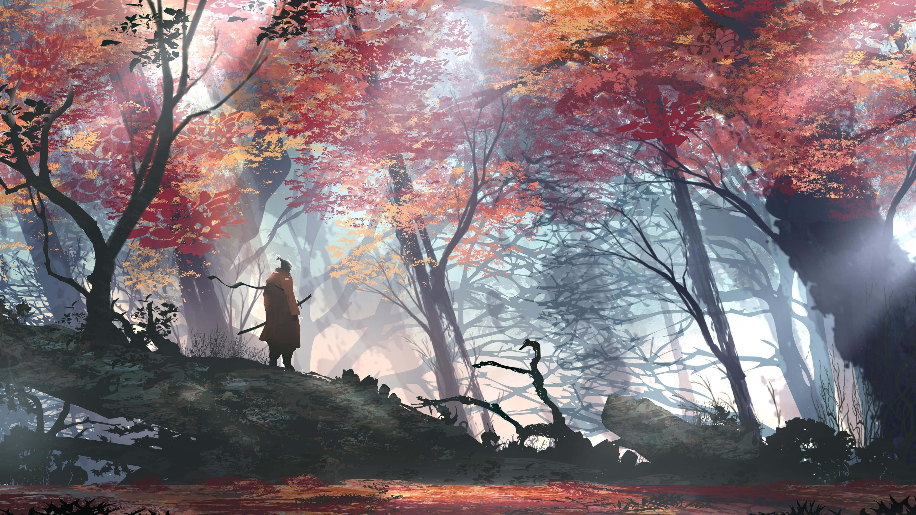 samurai landscape, lone samurai, misty autumn forest, 4K Desktop Wallpaper