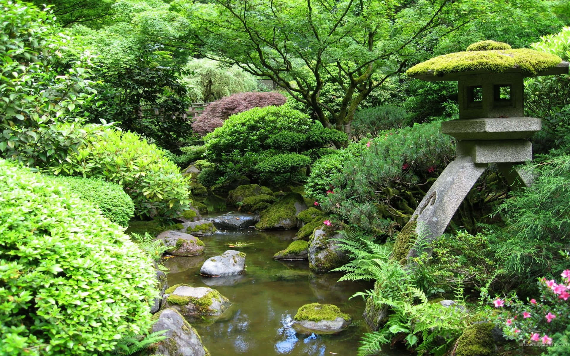 samurai garden, mossy stone lantern, tranquil stream, Full HD Desktop Wallpaper