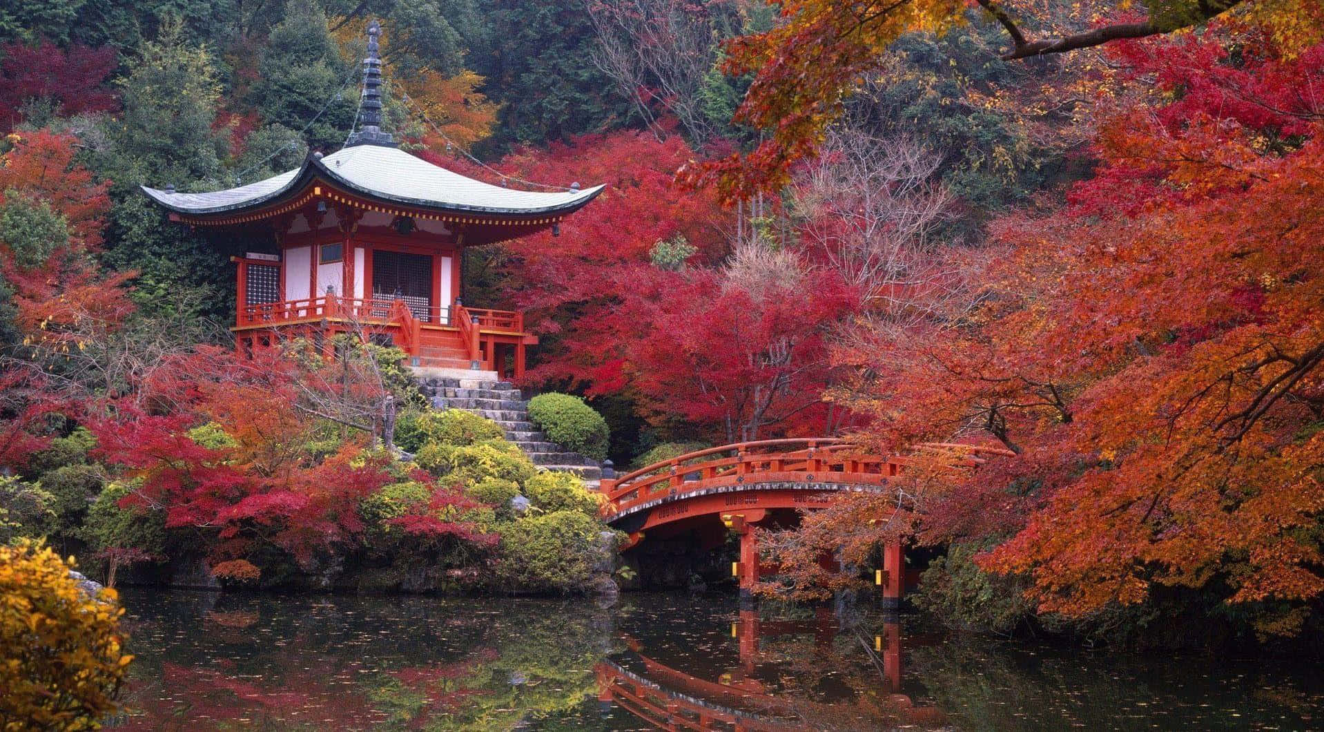 samurai garden, traditional Japanese pagoda, arched bridge, HD Desktop Wallpaper