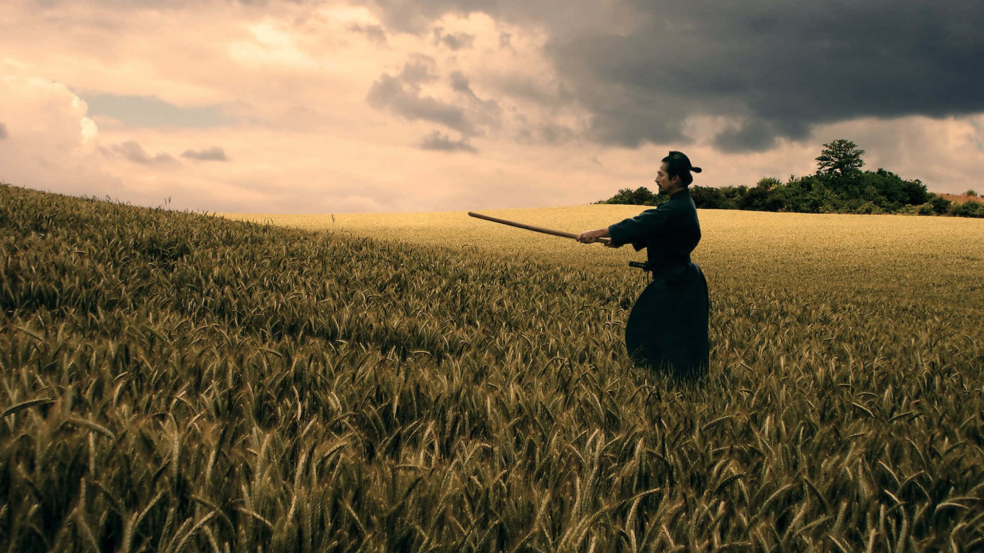 samurai, long sword, golden wheat field, Full HD Desktop Wallpaper