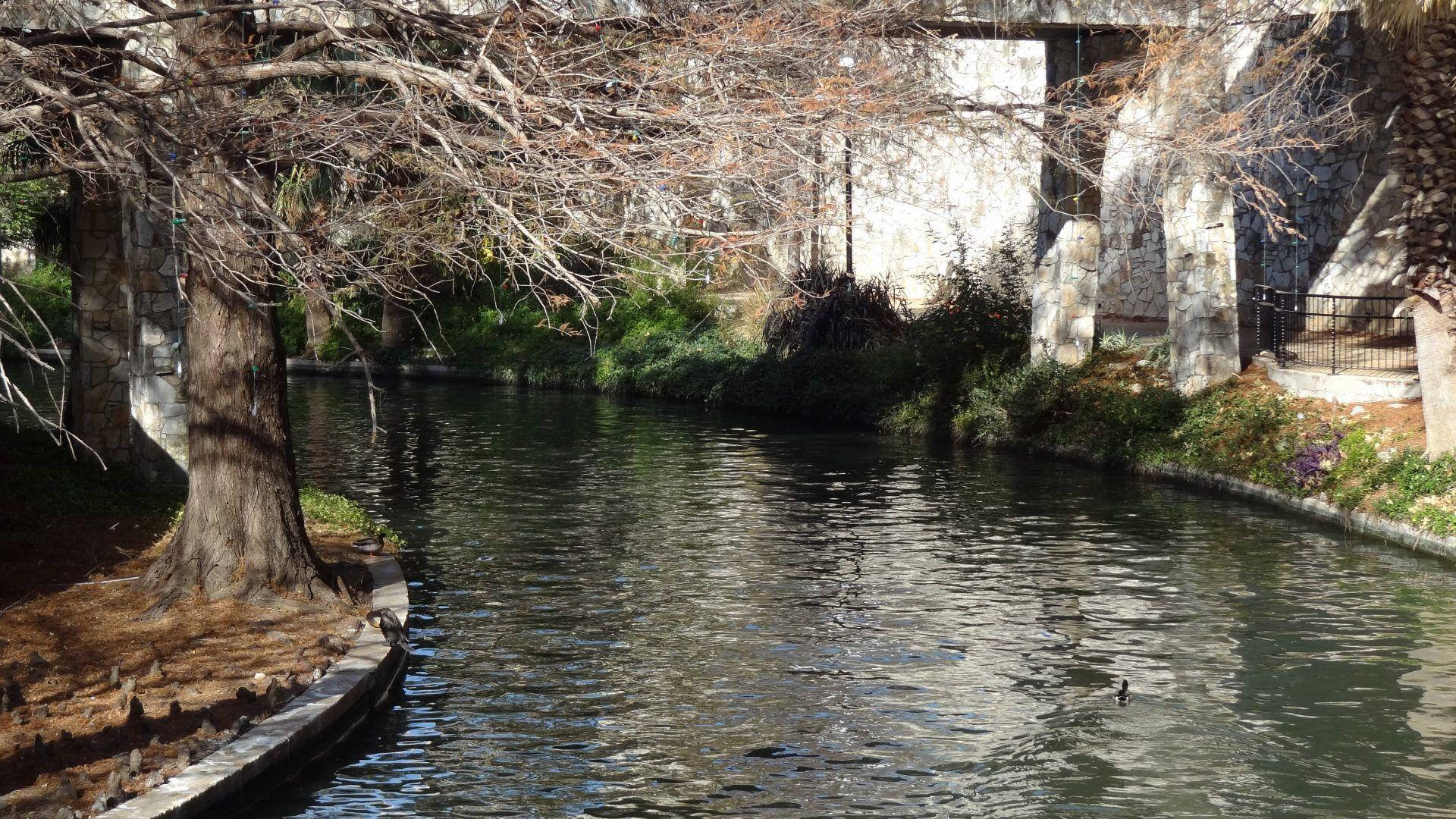 San Antonio River Walk, stone walls, bare trees, Full HD Desktop Wallpaper