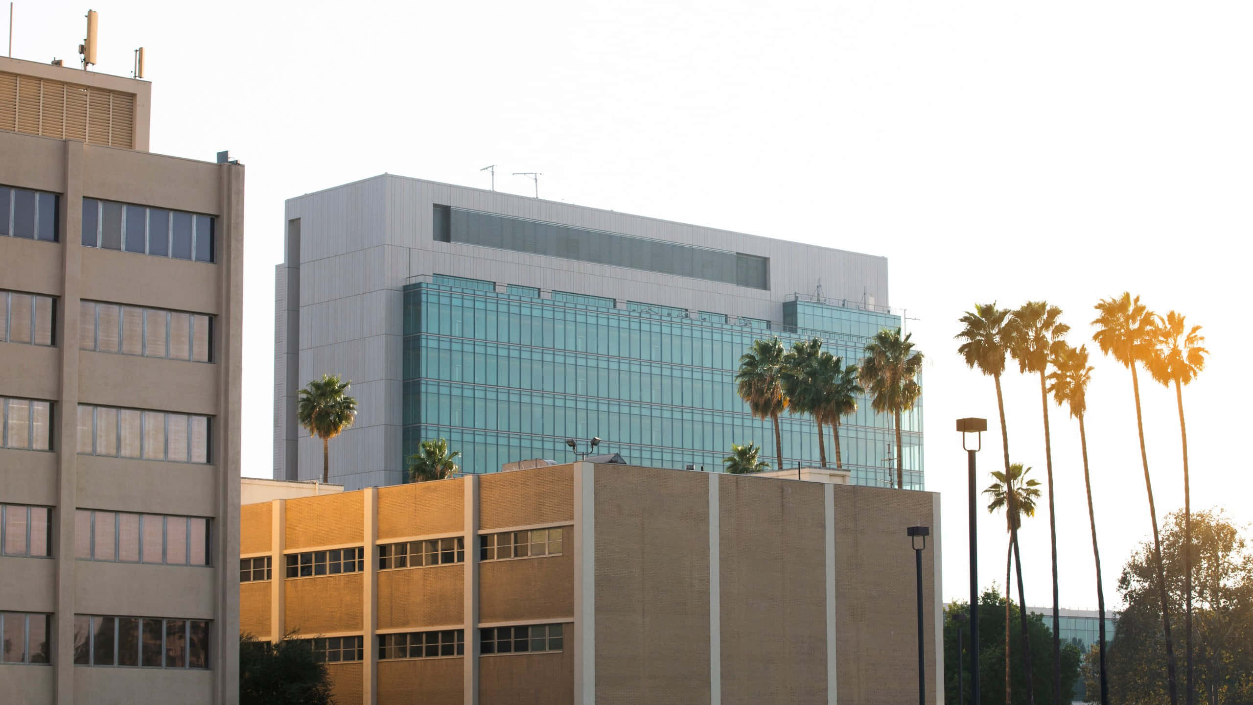 San Bernardino, modern buildings, palm trees, 2K Desktop Wallpaper