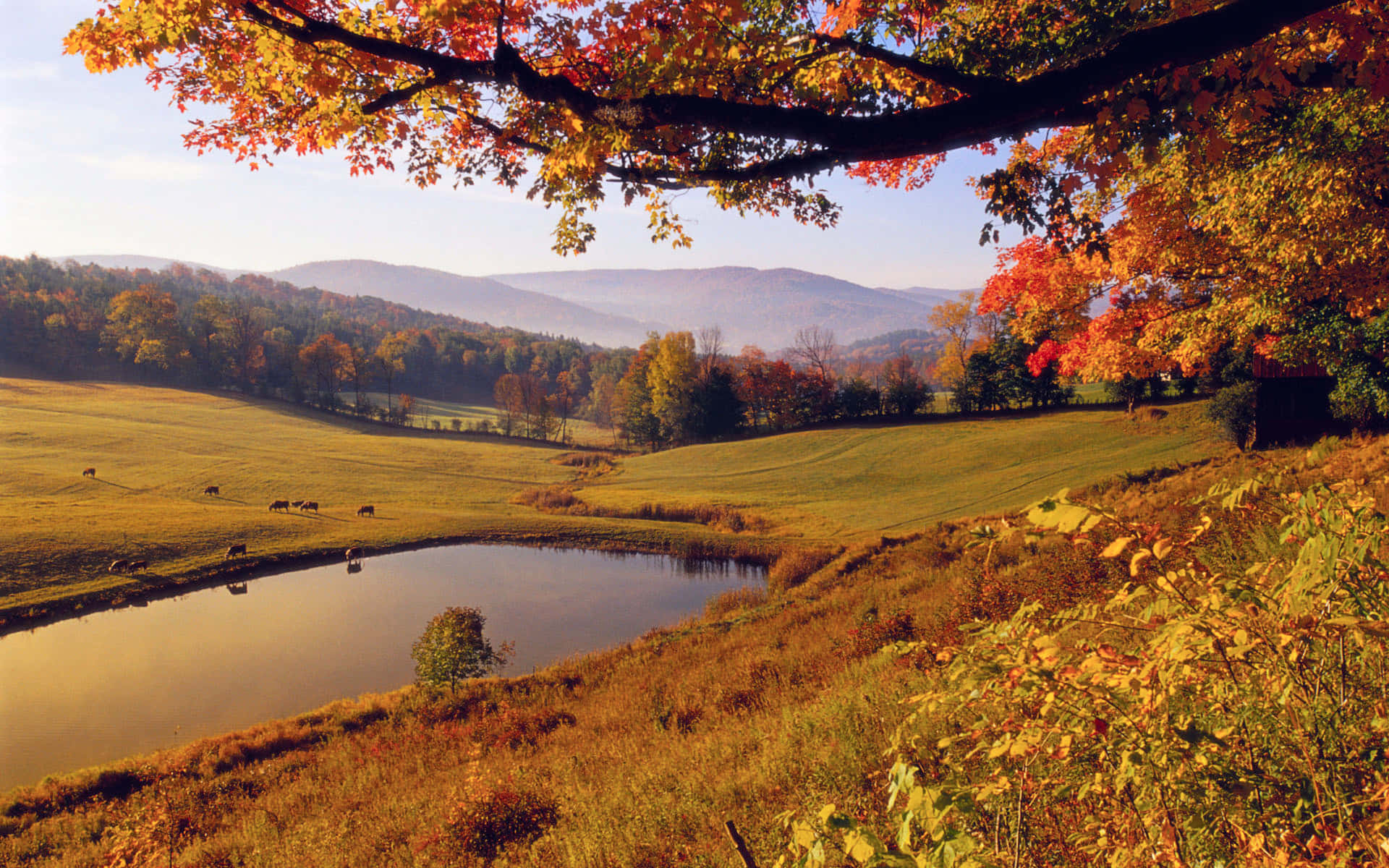 San Bernardino, autumn landscape, winding river, Full HD Desktop Wallpaper