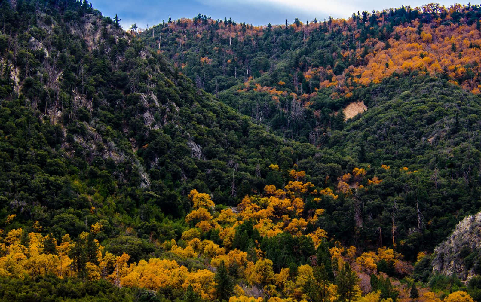 San Bernardino Mountains, autumn foliage, mountain valley, HD Desktop Wallpaper