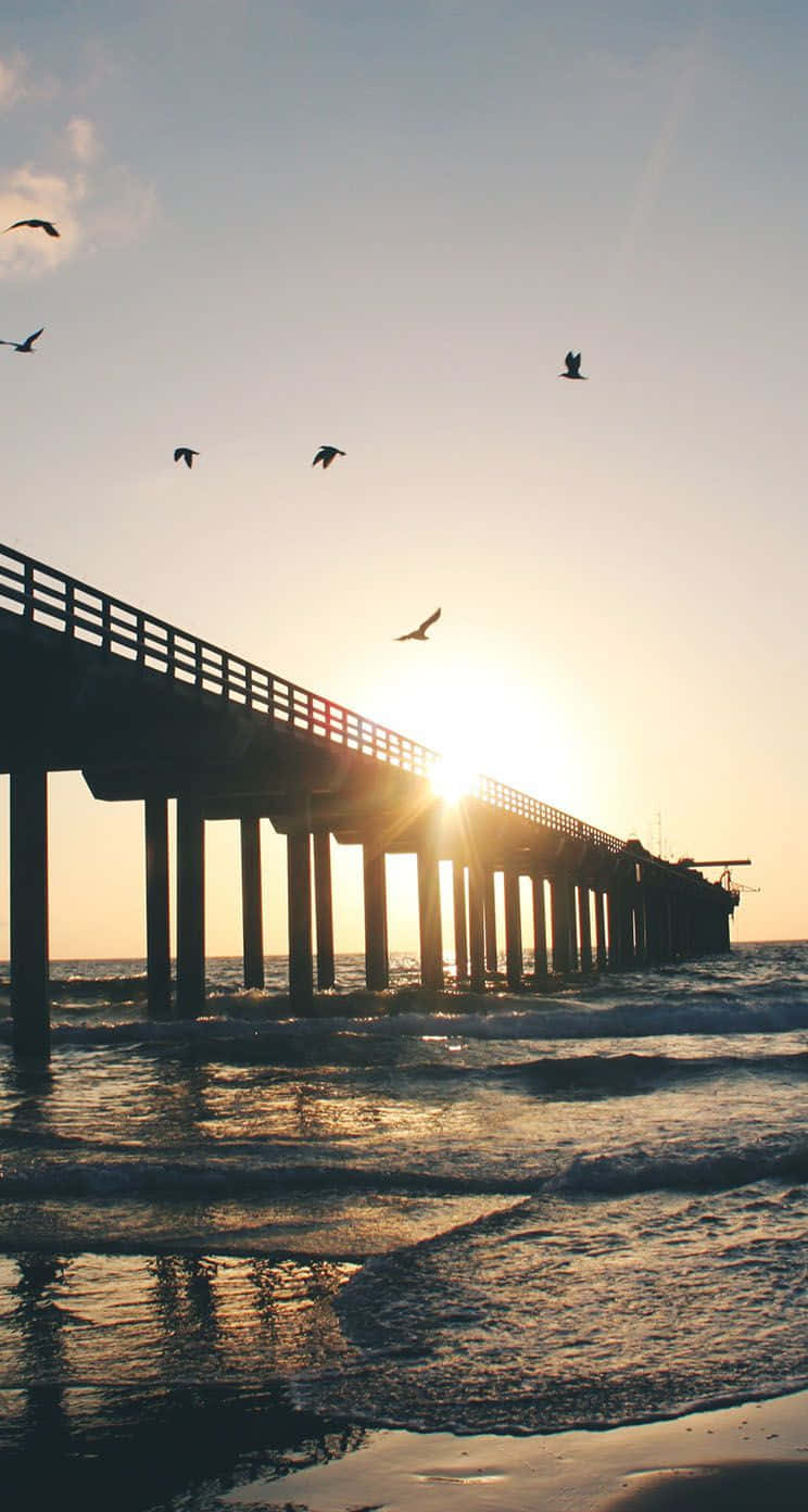 San Diego, iPhone, Sunset, HD Phone Wallpaper