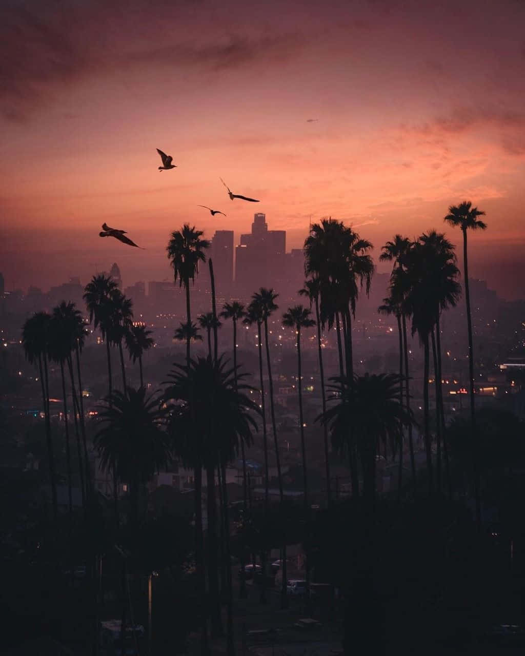 San Diego, iPhone, palm trees, HD Phone Wallpaper