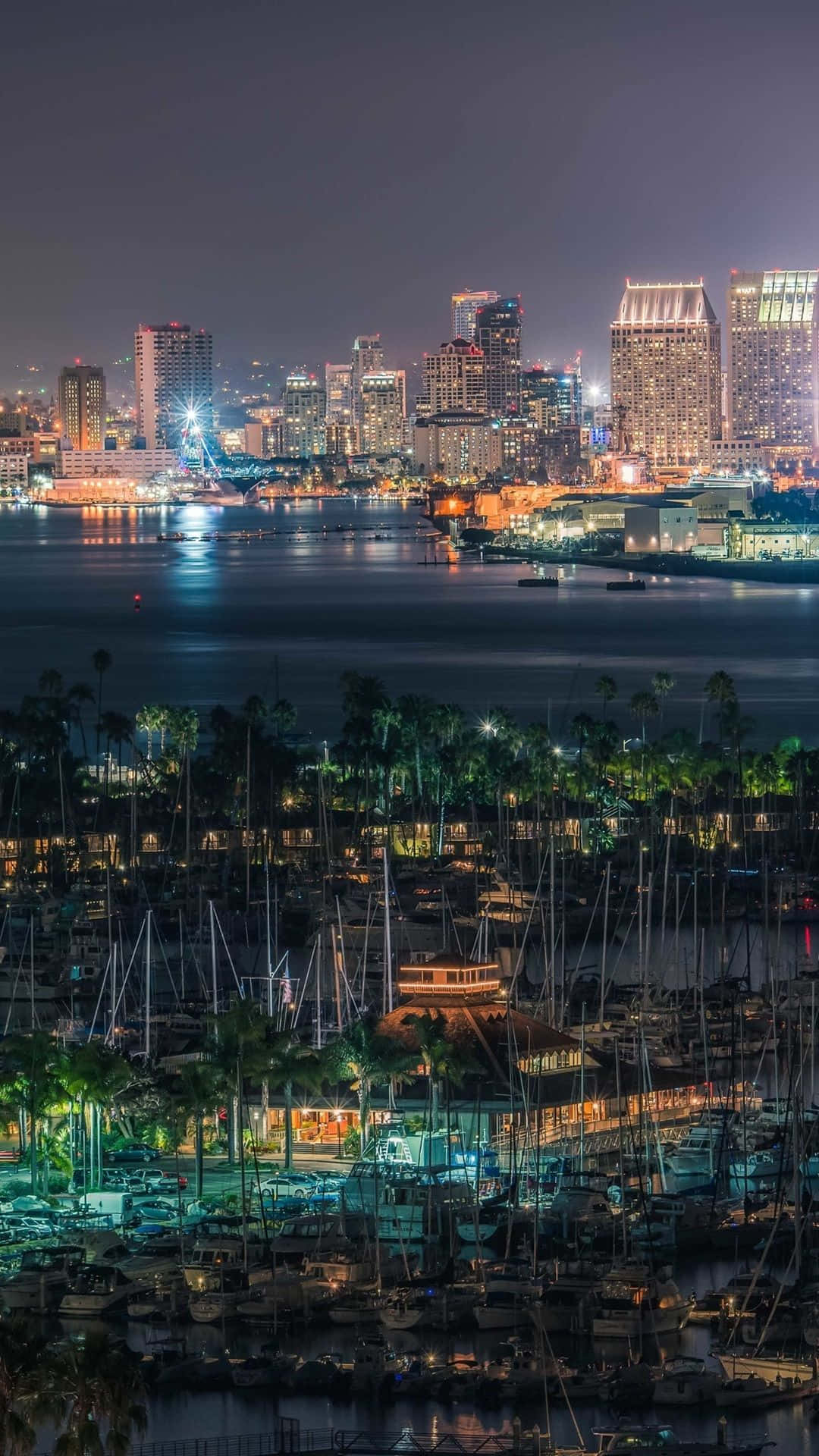 San Diego, nighttime cityscape, glowing skyscrapers, Full HD Phone Wallpaper