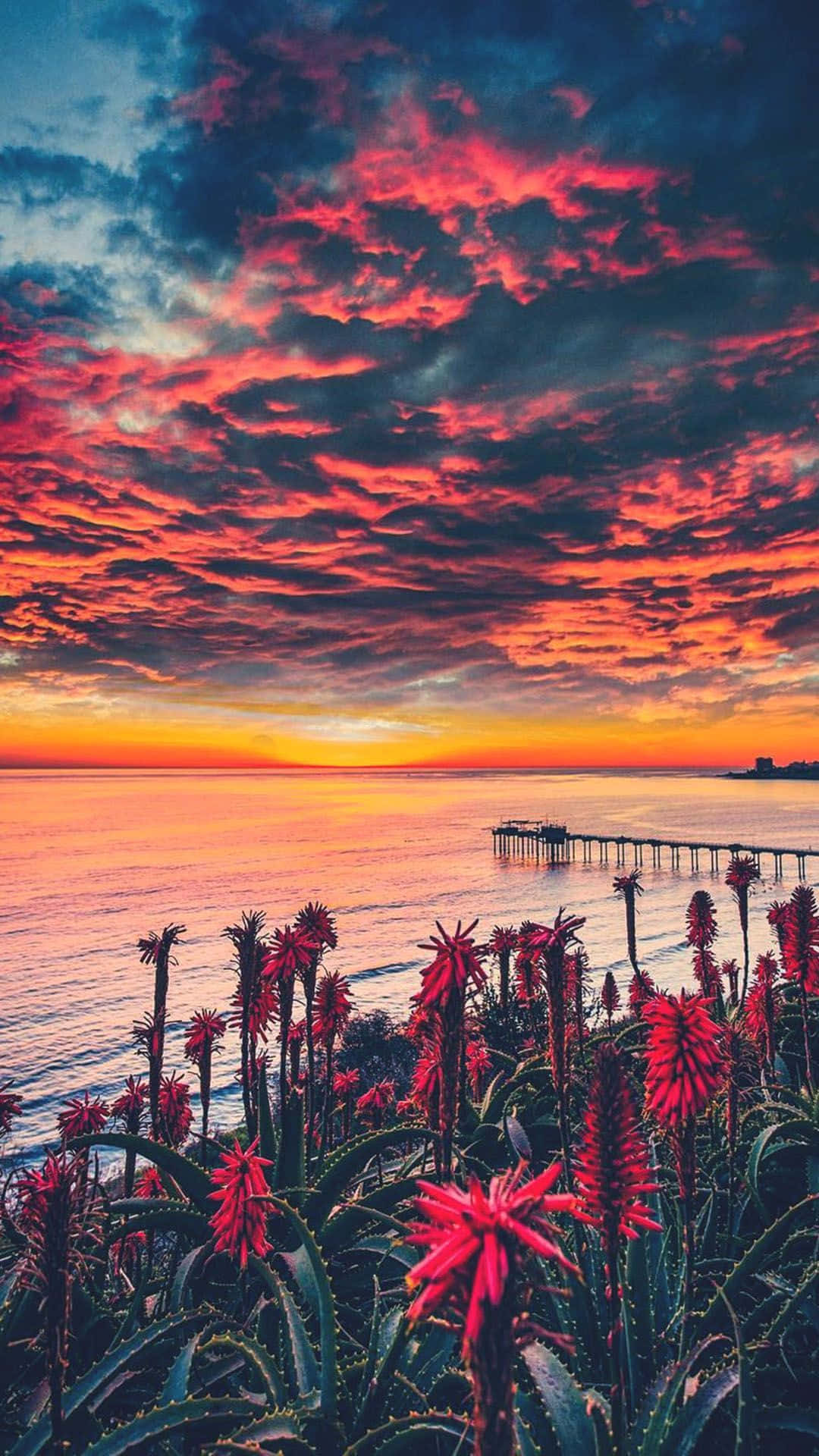 San Diego, iPhone, sunset, Full HD Phone Wallpaper
