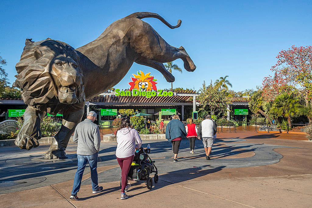 pouncing lion statue, San Diego Zoo, bronze, SD Desktop Wallpaper