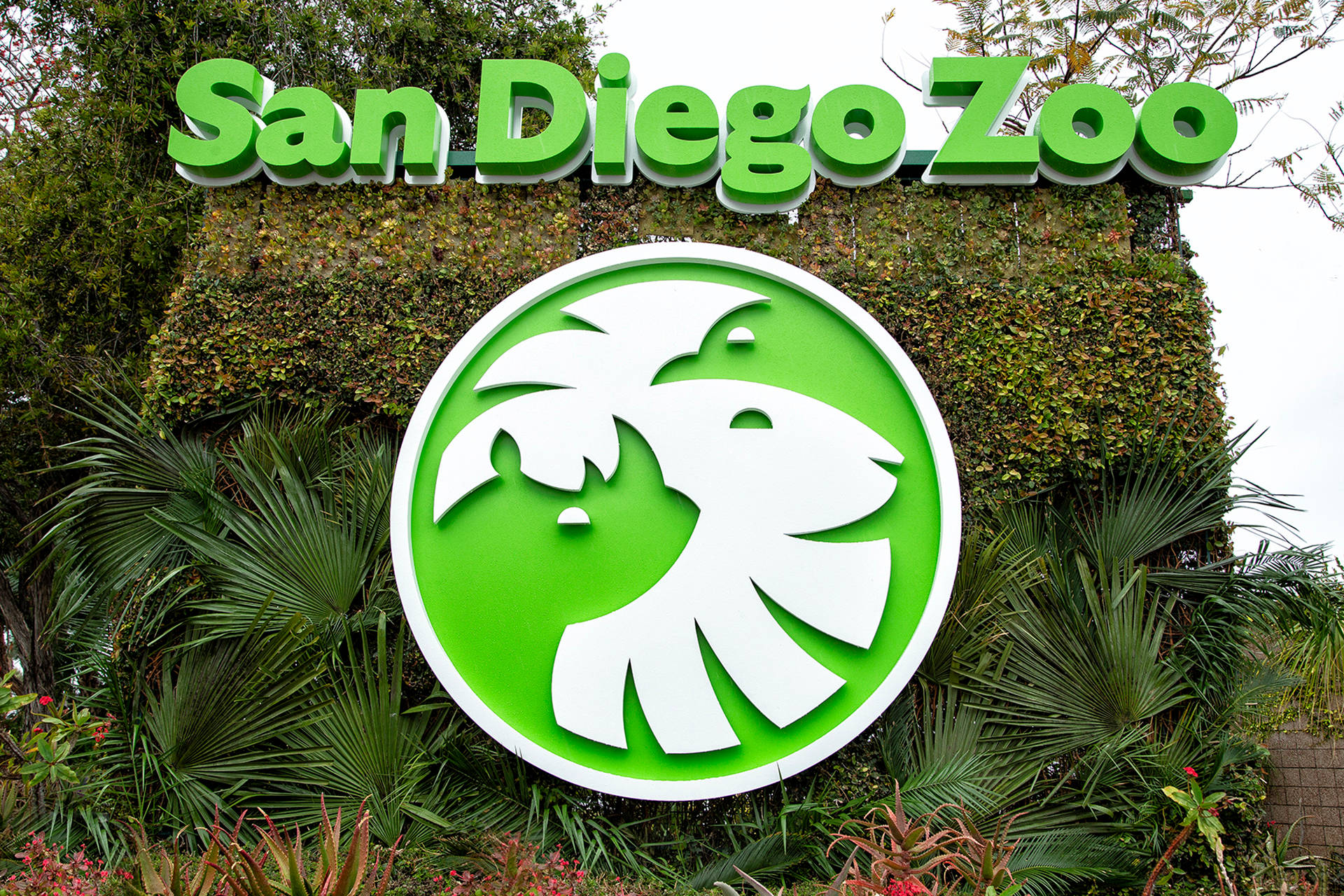 San Diego Zoo, green, white lion logo, Full HD Desktop Wallpaper