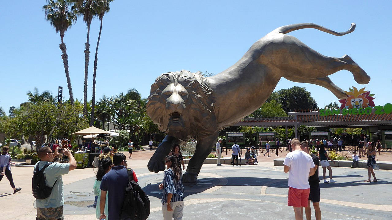 San Diego Zoo, lion statue, bronze, SD Desktop Wallpaper