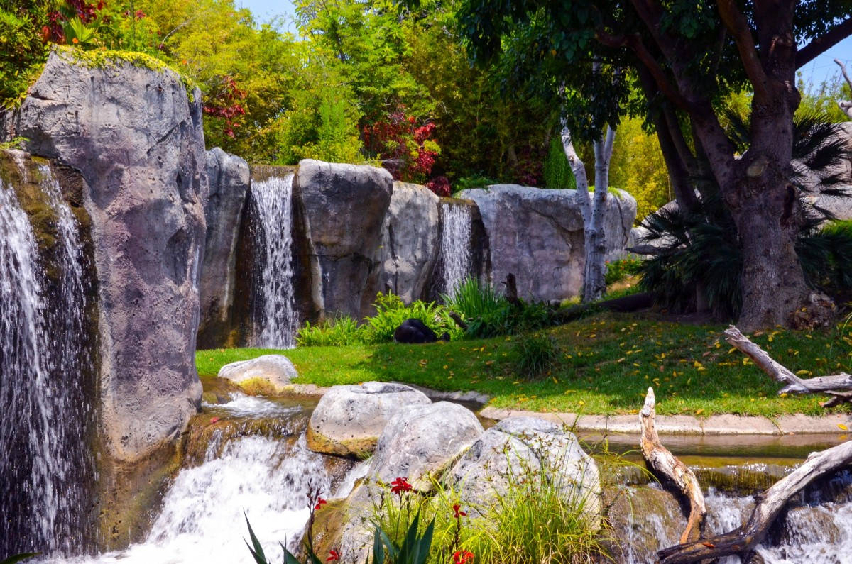 San Diego Zoo, waterfalls, mossy gray rocks, SD Desktop Wallpaper