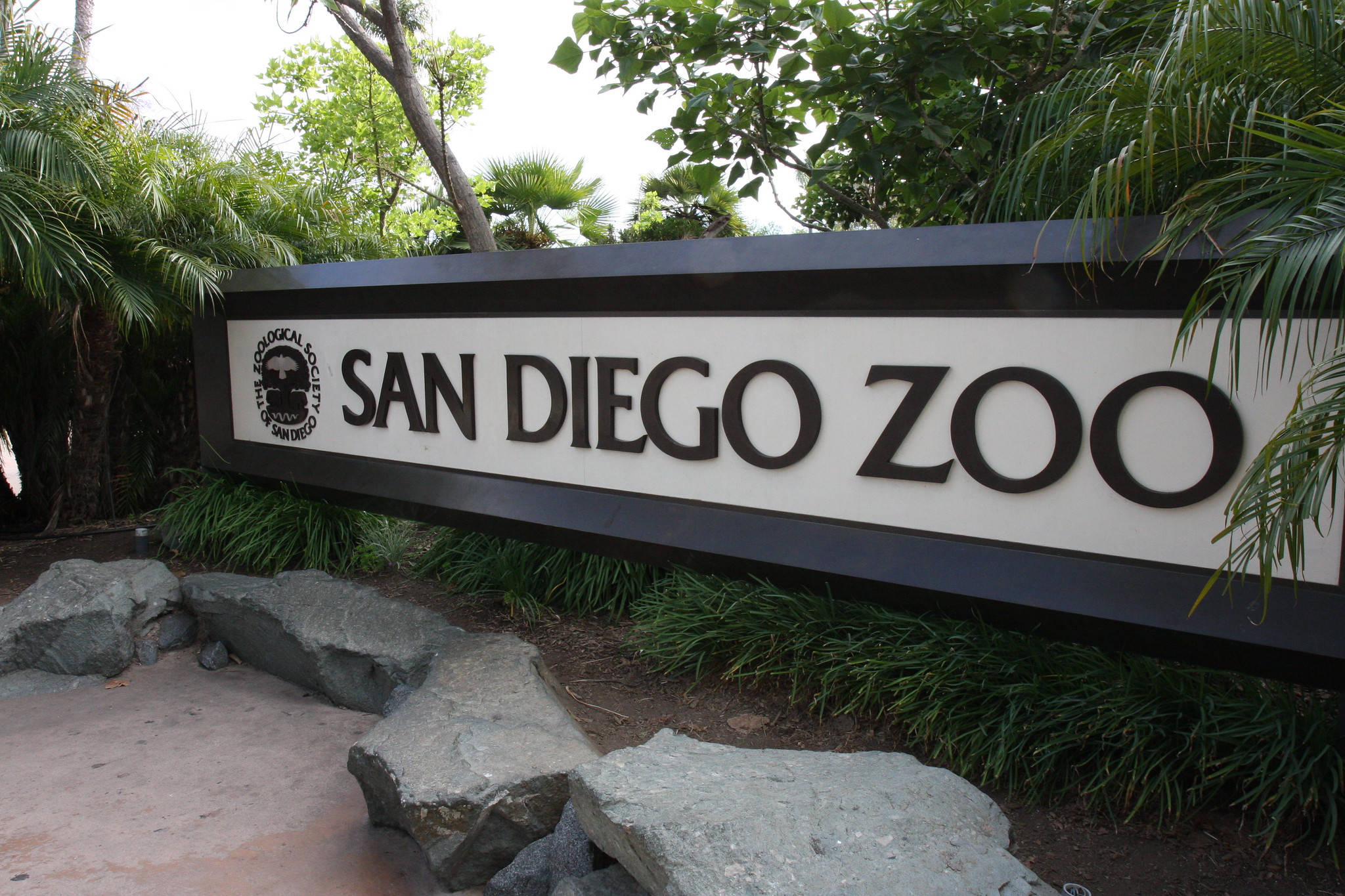 San Diego Zoo, black and white sign, palm trees, Full HD Desktop Wallpaper