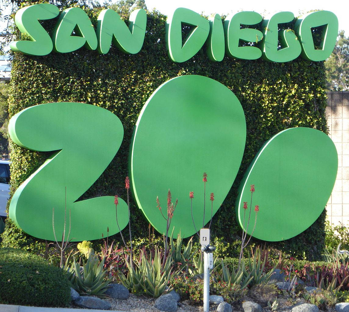 San Diego Zoo, simple green sign, large green 3D letters, SD Desktop Wallpaper