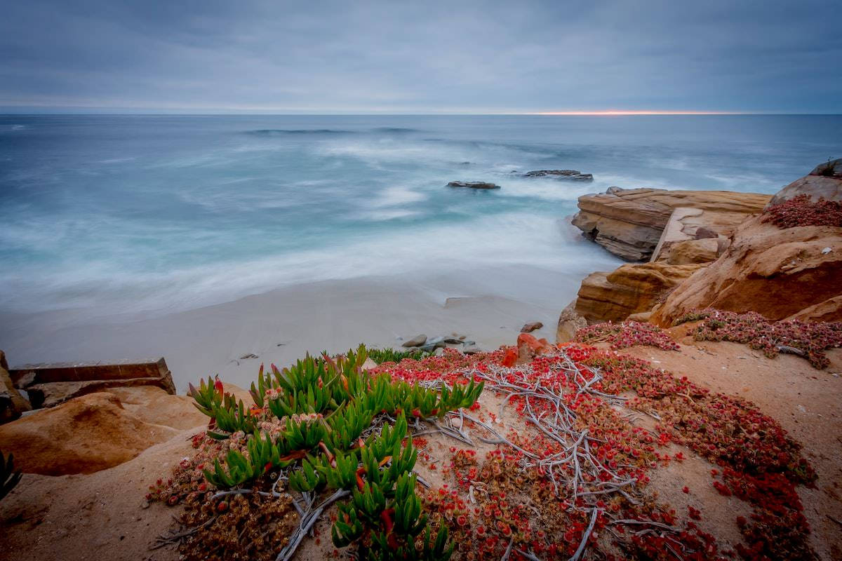 San Diego, beach cliff, dawn, SD Desktop Wallpaper