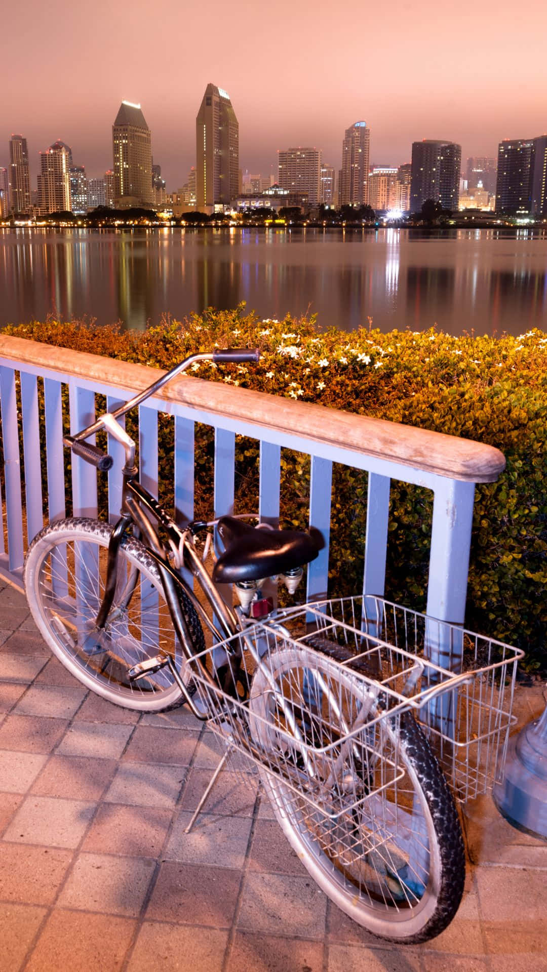 San Diego, bicycle, basket, Full HD Phone Wallpaper