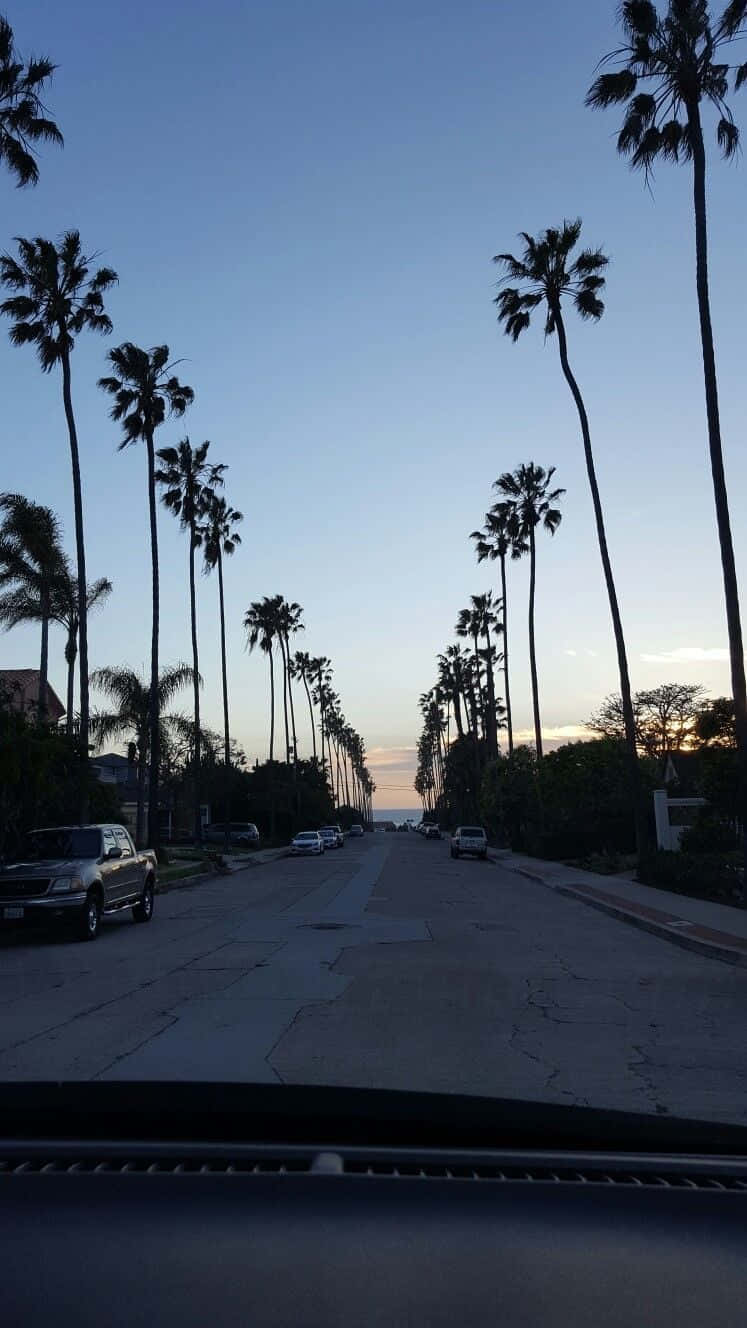 San Diego, palm-lined street, dusk, HD Phone Wallpaper