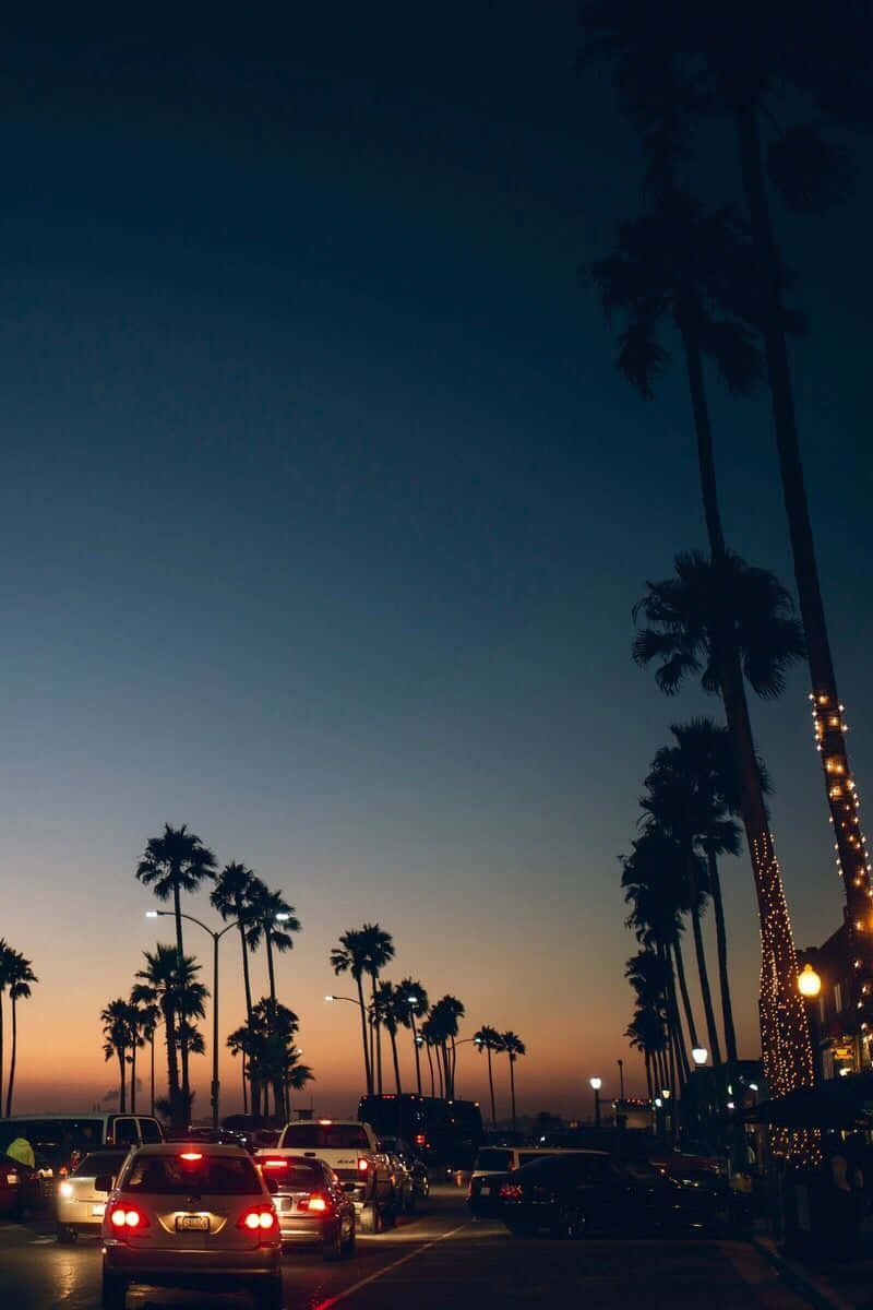 San Diego, Sunset Road, palm trees, SD Phone Wallpaper