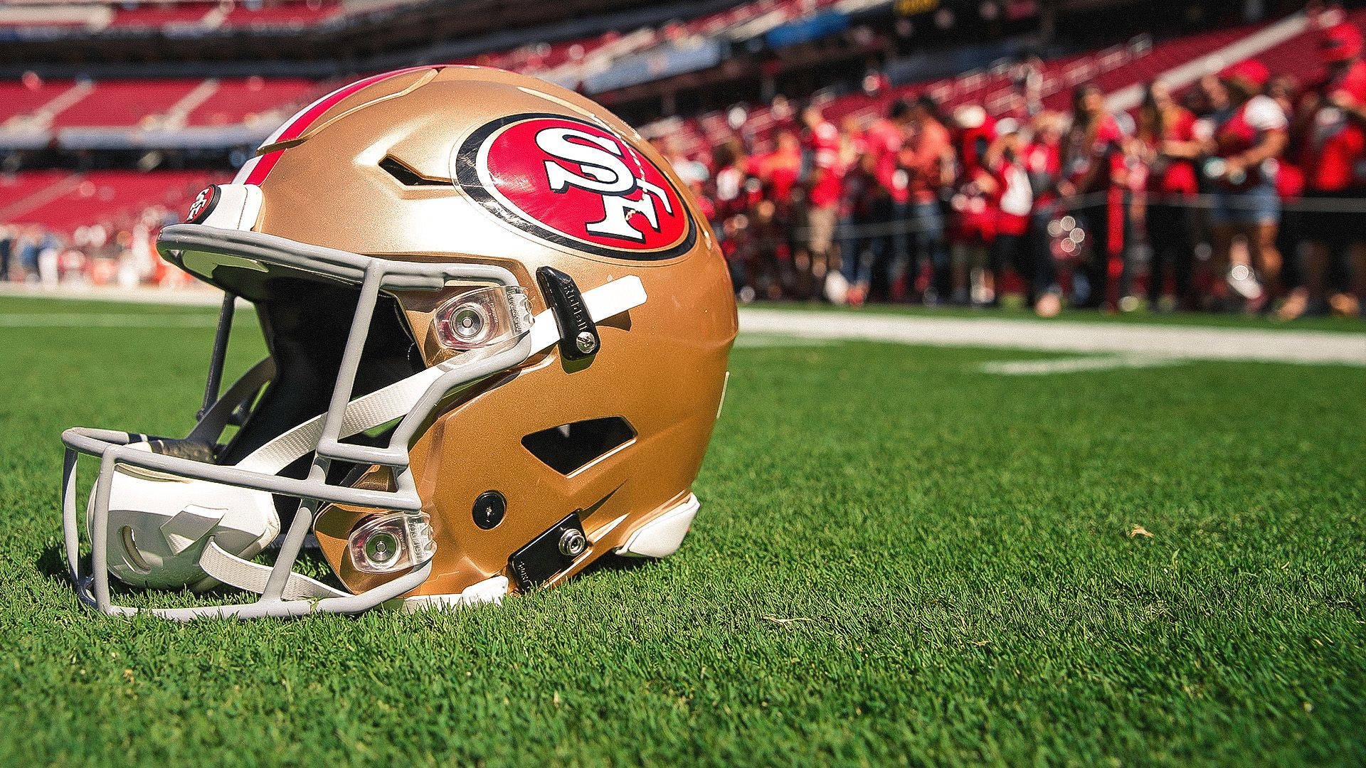 San Francisco 49ers, helmet, vibrant green turf, Full HD Desktop Wallpaper