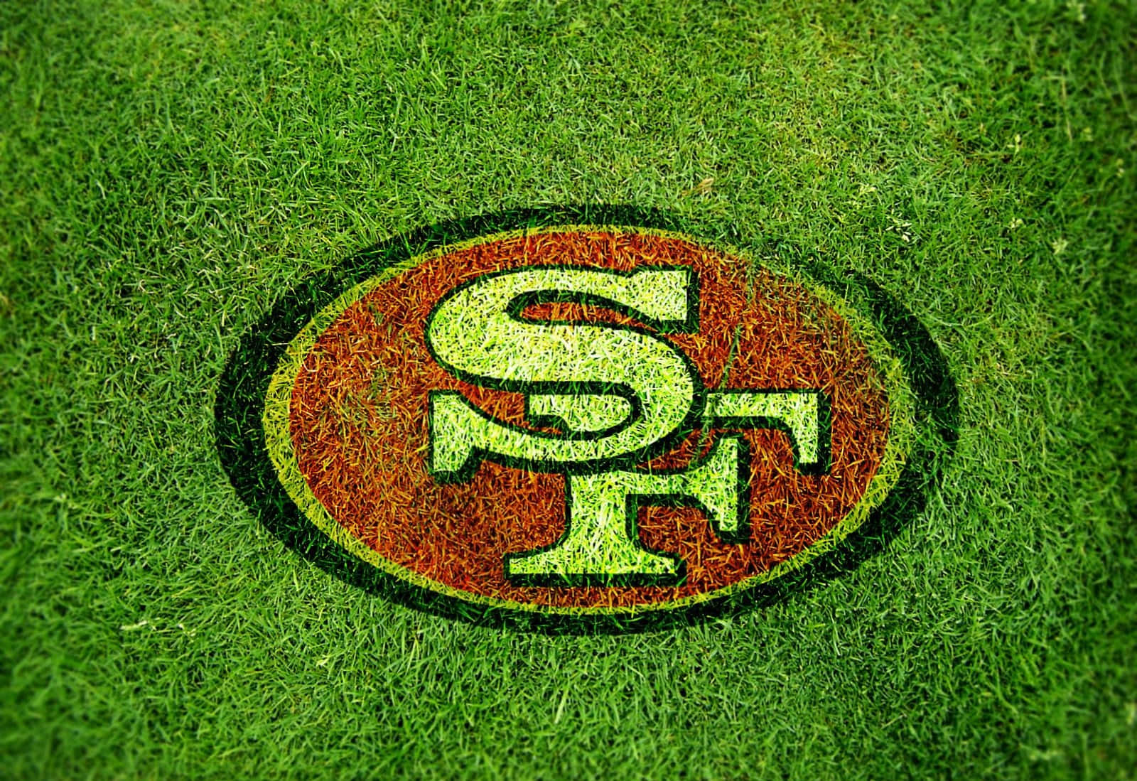 San Francisco 49ers, 49ers logo, green grass, HD Desktop Wallpaper
