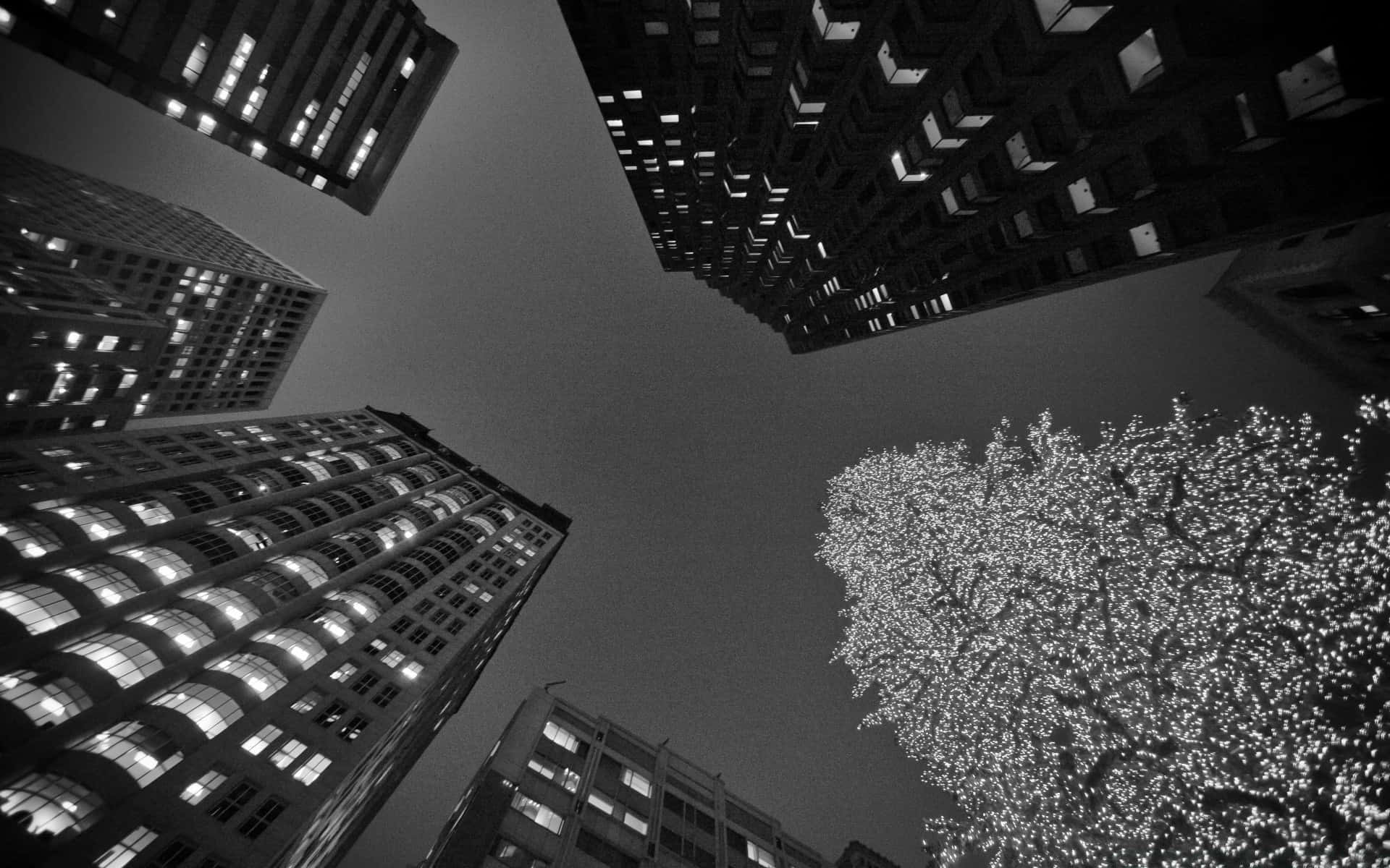 San Francisco, black and white, towering city buildings, Full HD Desktop Wallpaper