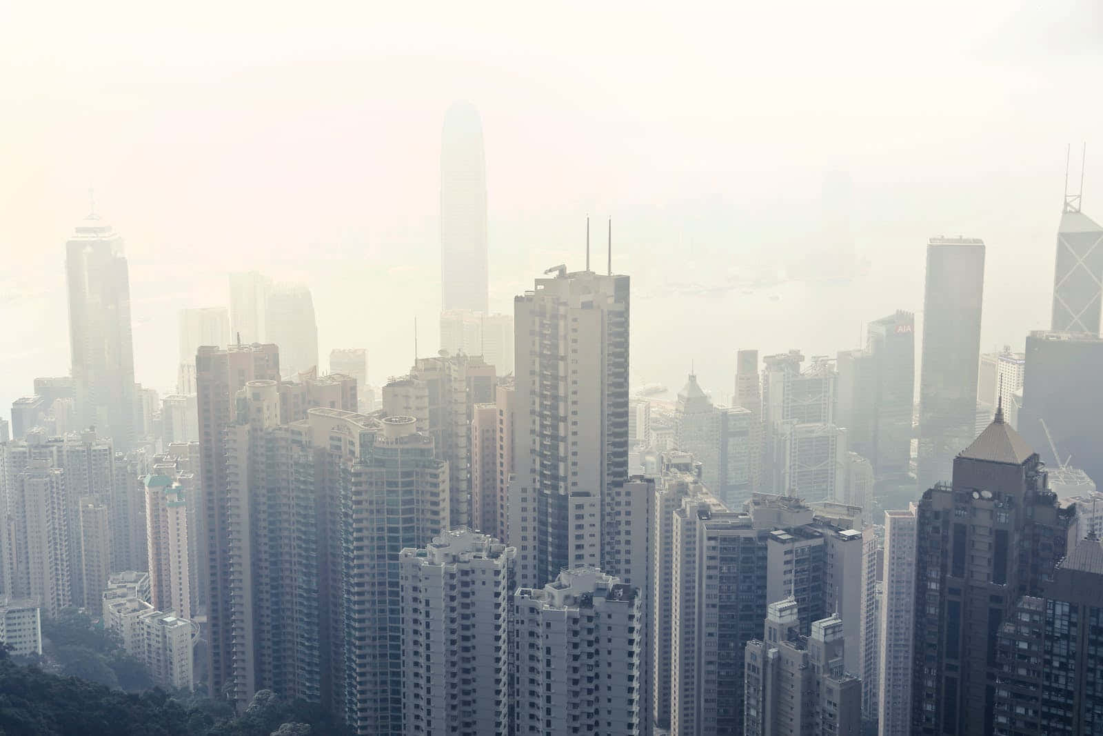 San Francisco Fog, hazy urban skyline, towering skyscrapers, HD Desktop Wallpaper