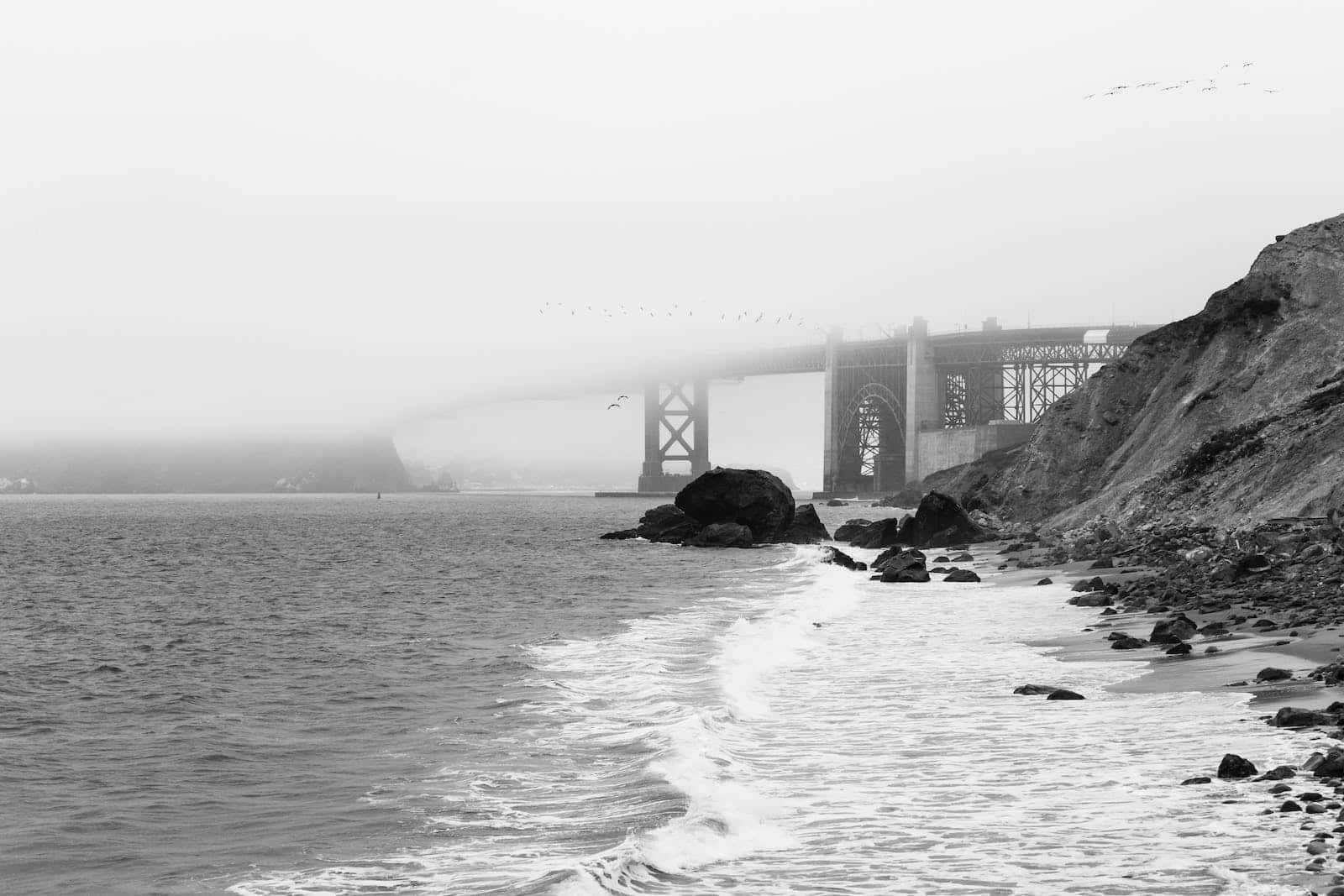 San Francisco, fog, bridge, HD Desktop Wallpaper