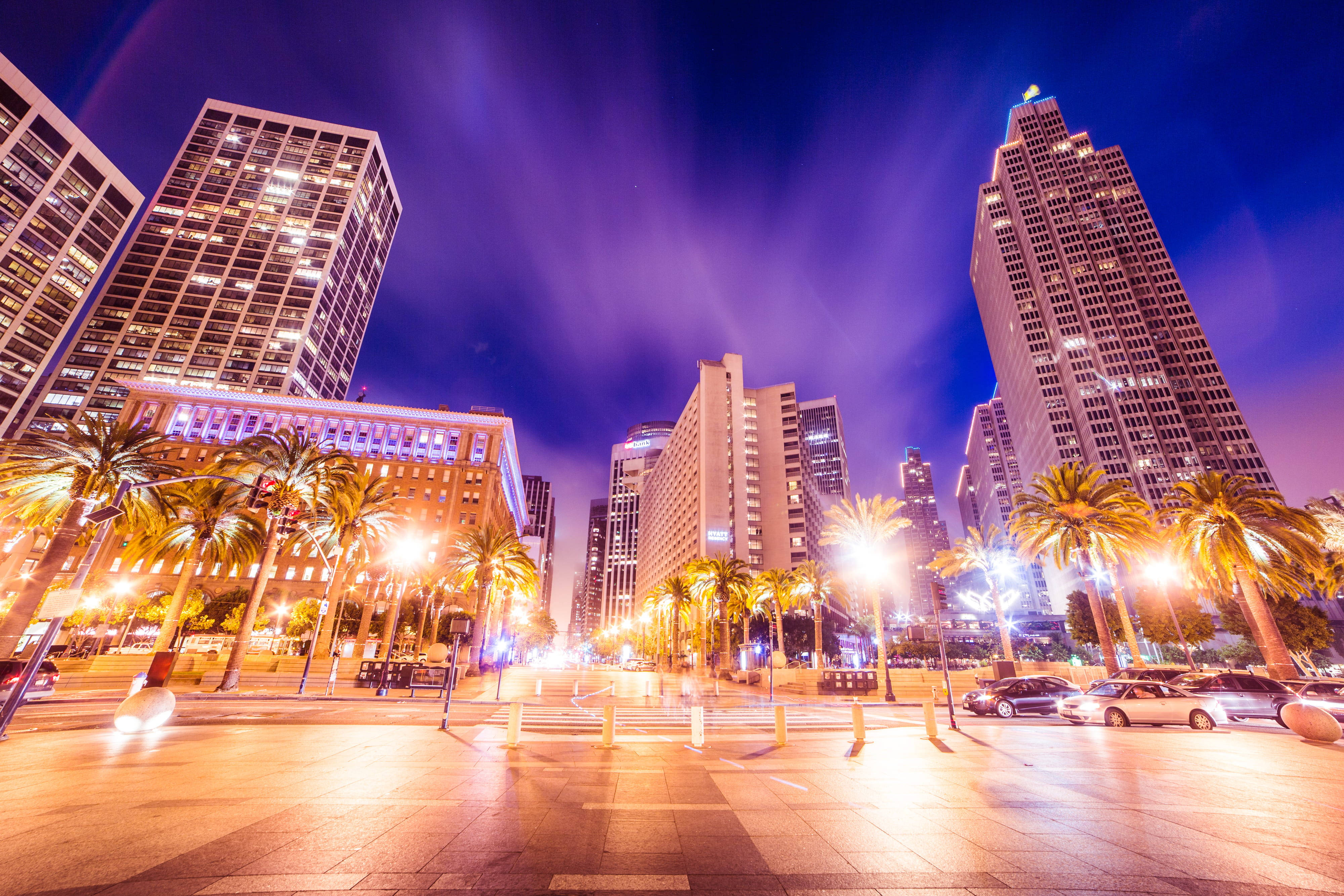 San Francisco Skyline, deep purple sky, palm trees, 4K Desktop Wallpaper
