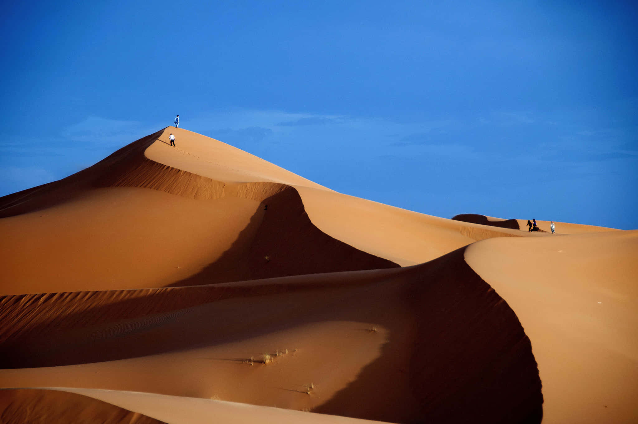 Sand Dunes, golden sand dunes, Sunset, Full HD Desktop Wallpaper