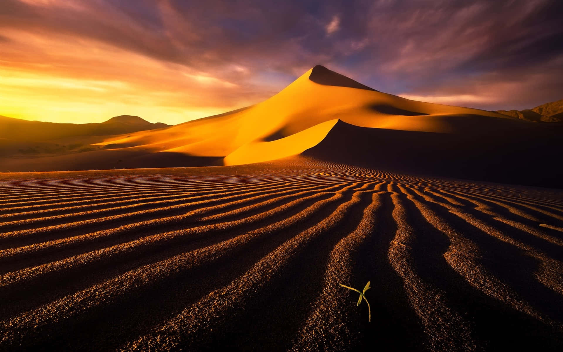 Sand Dunes, sunset, golden light, Full HD Desktop Wallpaper