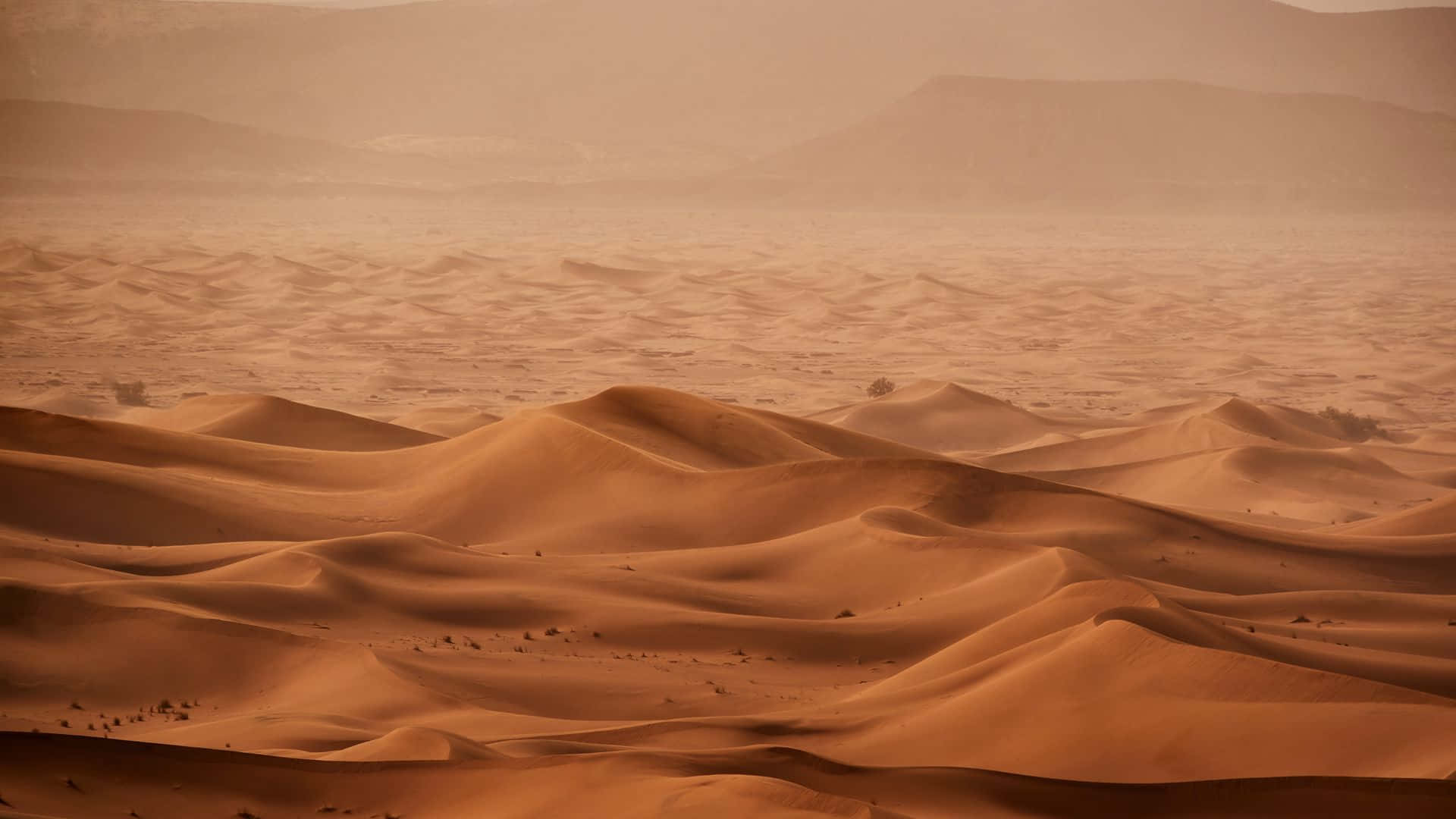 Sand Dunes, Sunset, golden sand dunes, Full HD Desktop Wallpaper
