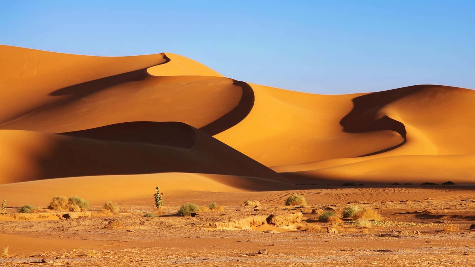Sand Dunes, golden sand dunes, bright blue sky, Full HD Desktop Wallpaper