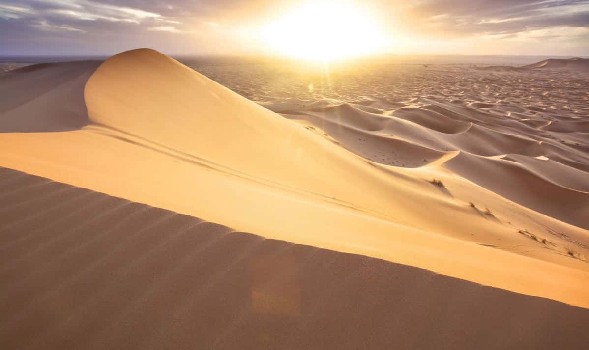 Sand Dunes, sunset, golden sand, SD Desktop Wallpaper