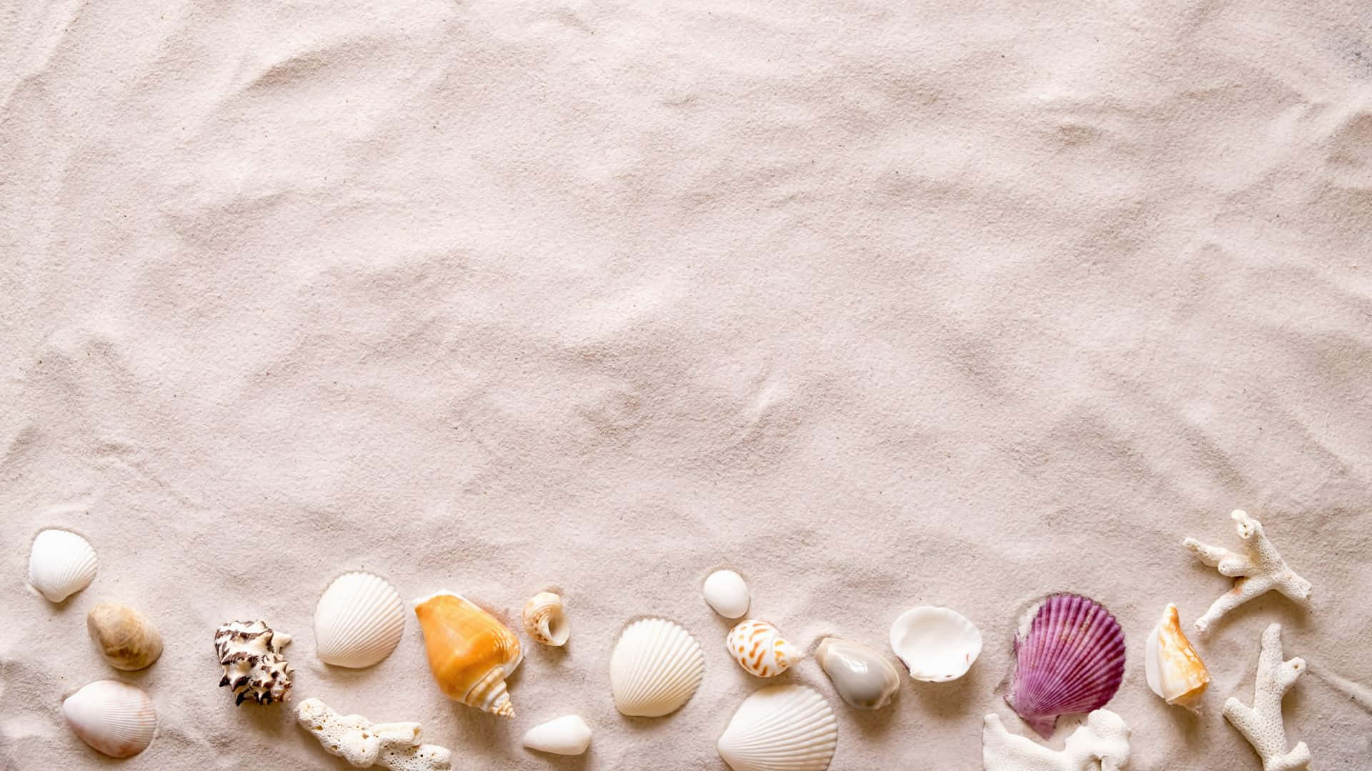 beach scene, sea shells, white sand, Full HD Desktop Wallpaper