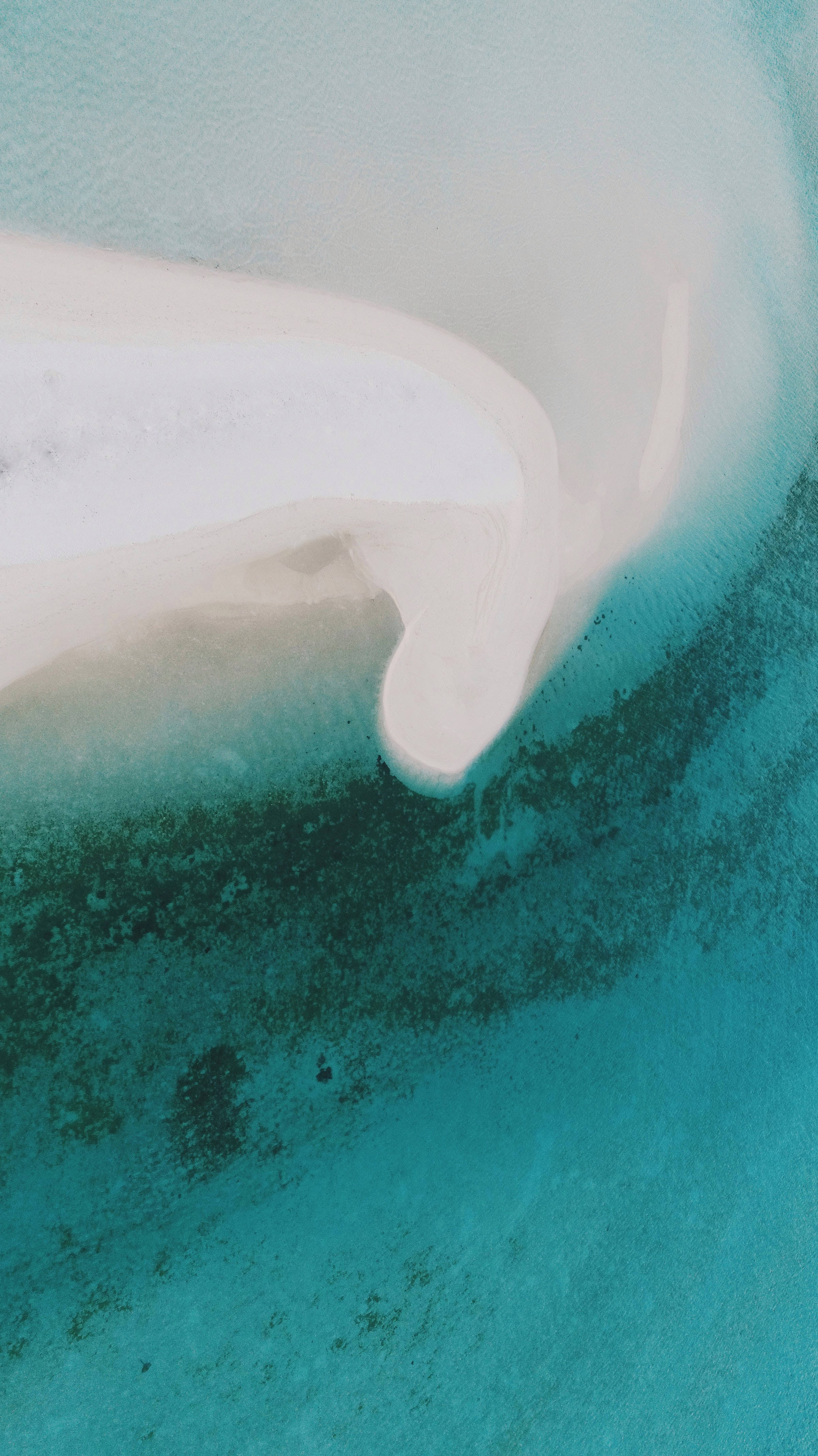 pristine white sandbar, vibrant turquoise ocean waters, deep teal ocean waters, 4K Phone Wallpaper
