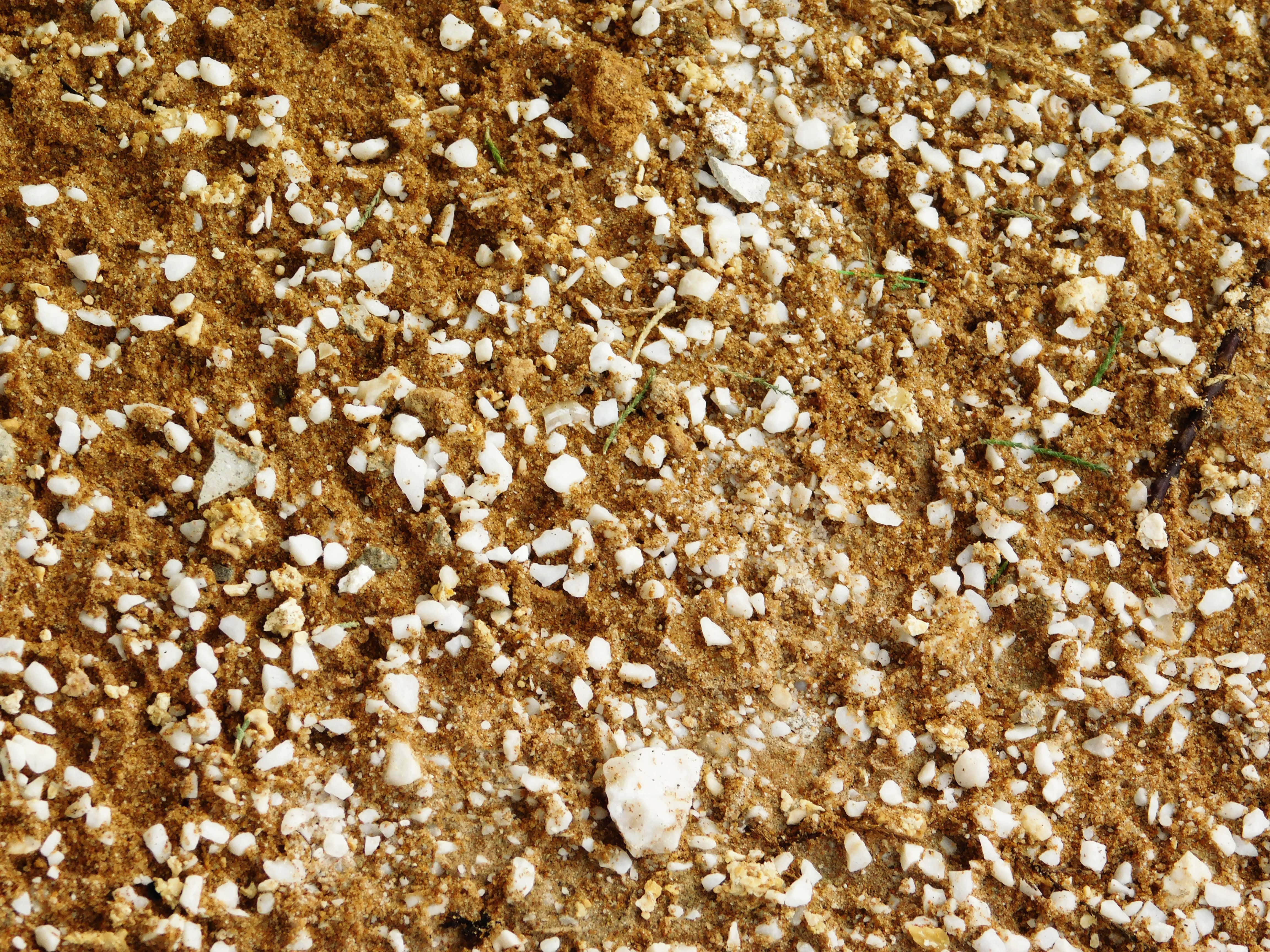sand, stones, earthy brown soil, 4K Desktop Wallpaper