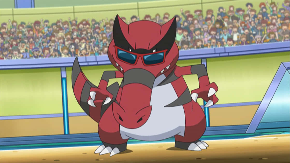 Sandile, sunglasses, arena, SD Desktop Wallpaper
