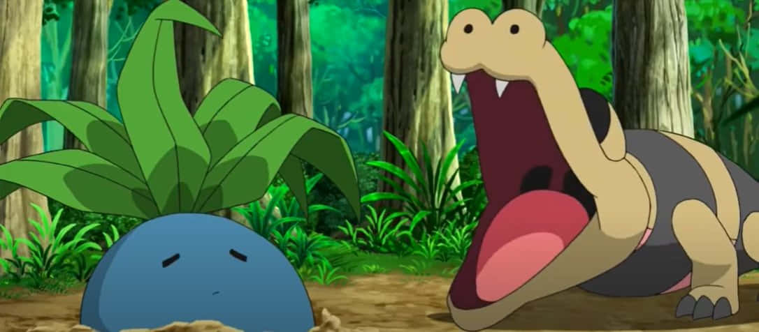 Sandile, luscious green jungle, tall trees, SD Desktop Wallpaper
