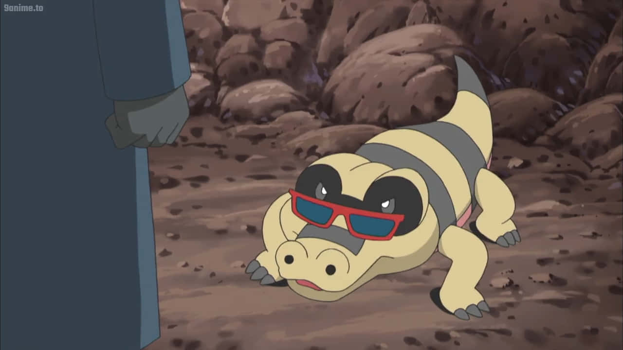 Sandile, red sunglasses, rocky ground, HD Desktop Wallpaper