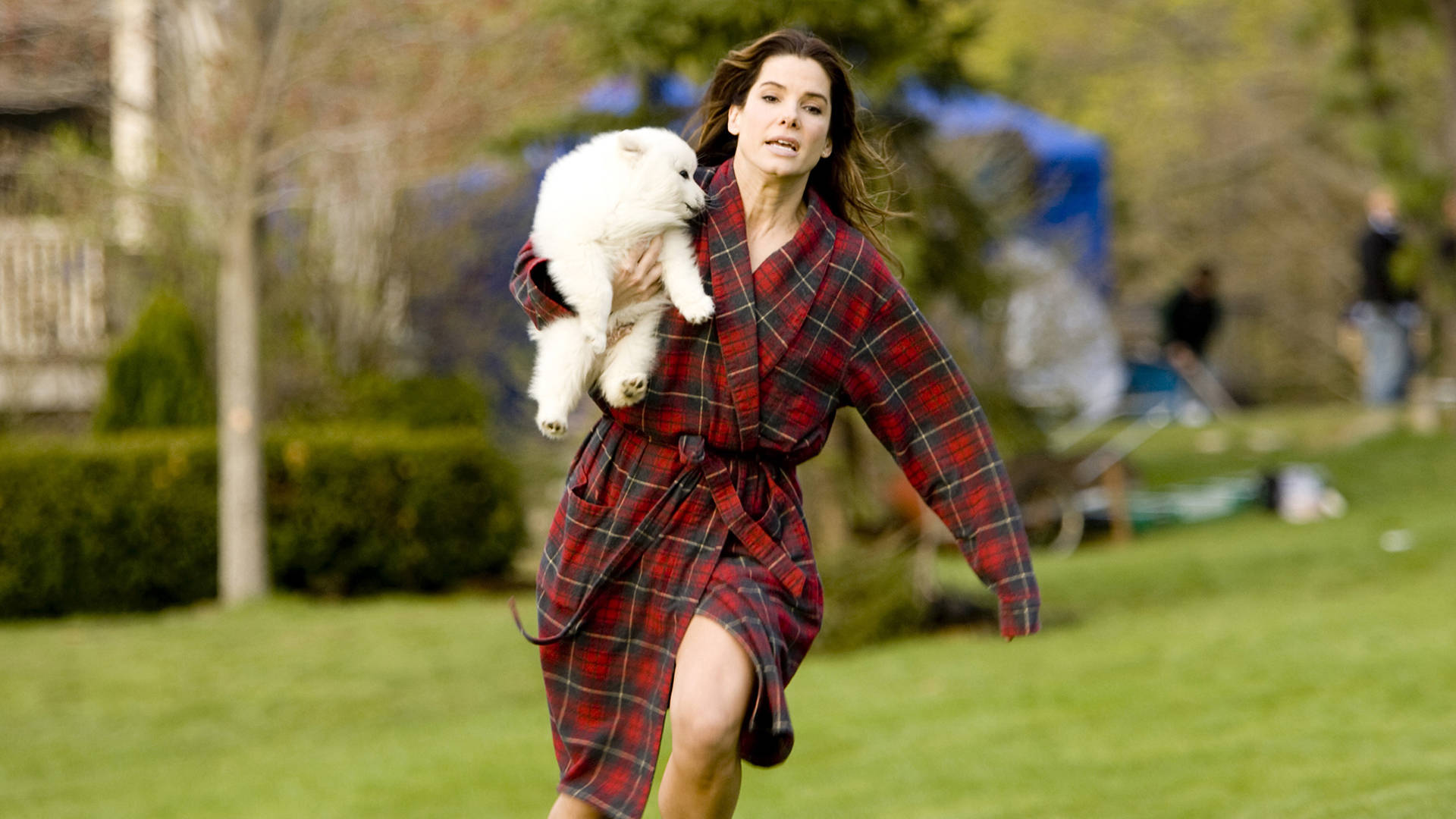 Sandra Bullock, red plaid robe, fluffy white puppy, Full HD Desktop Wallpaper